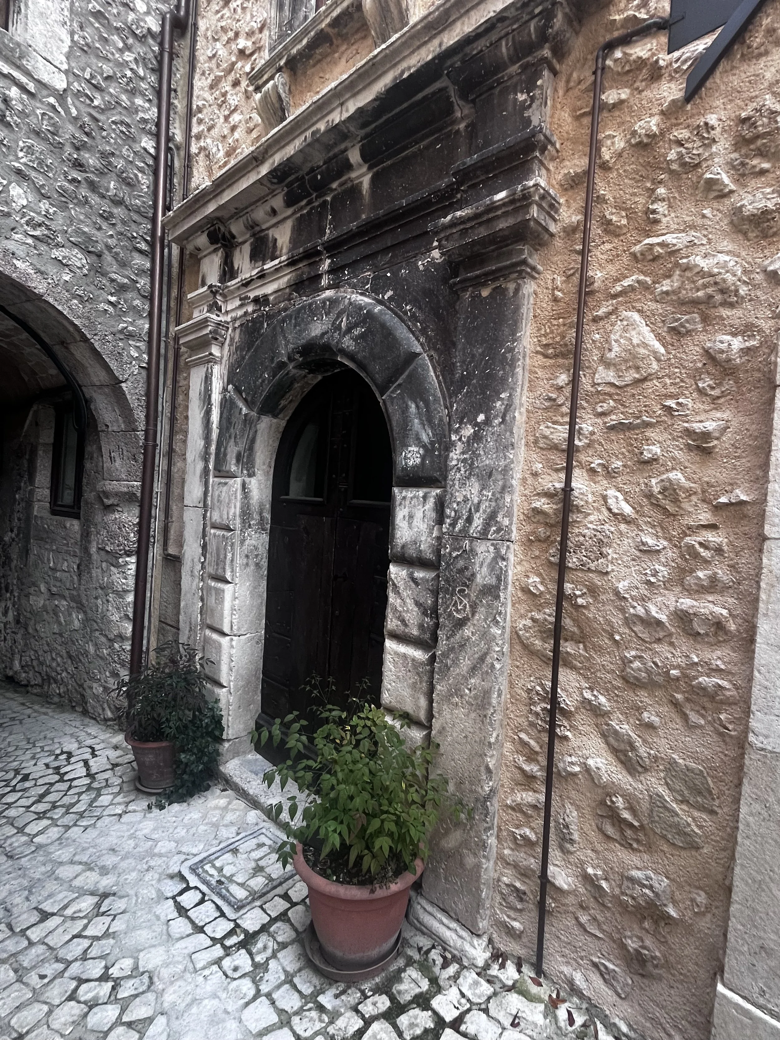 IMG_8398.jpeg