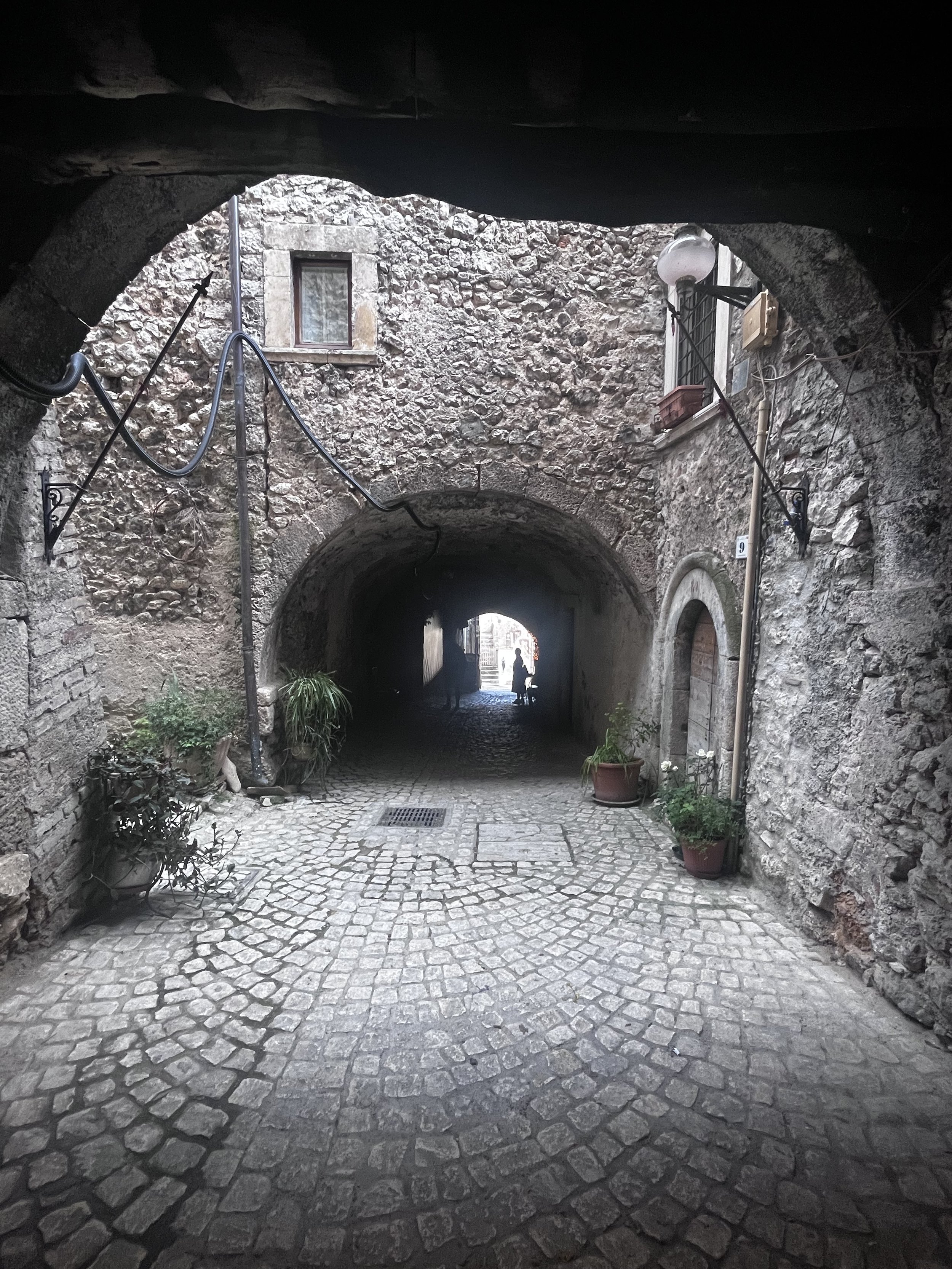 IMG_8401.jpeg