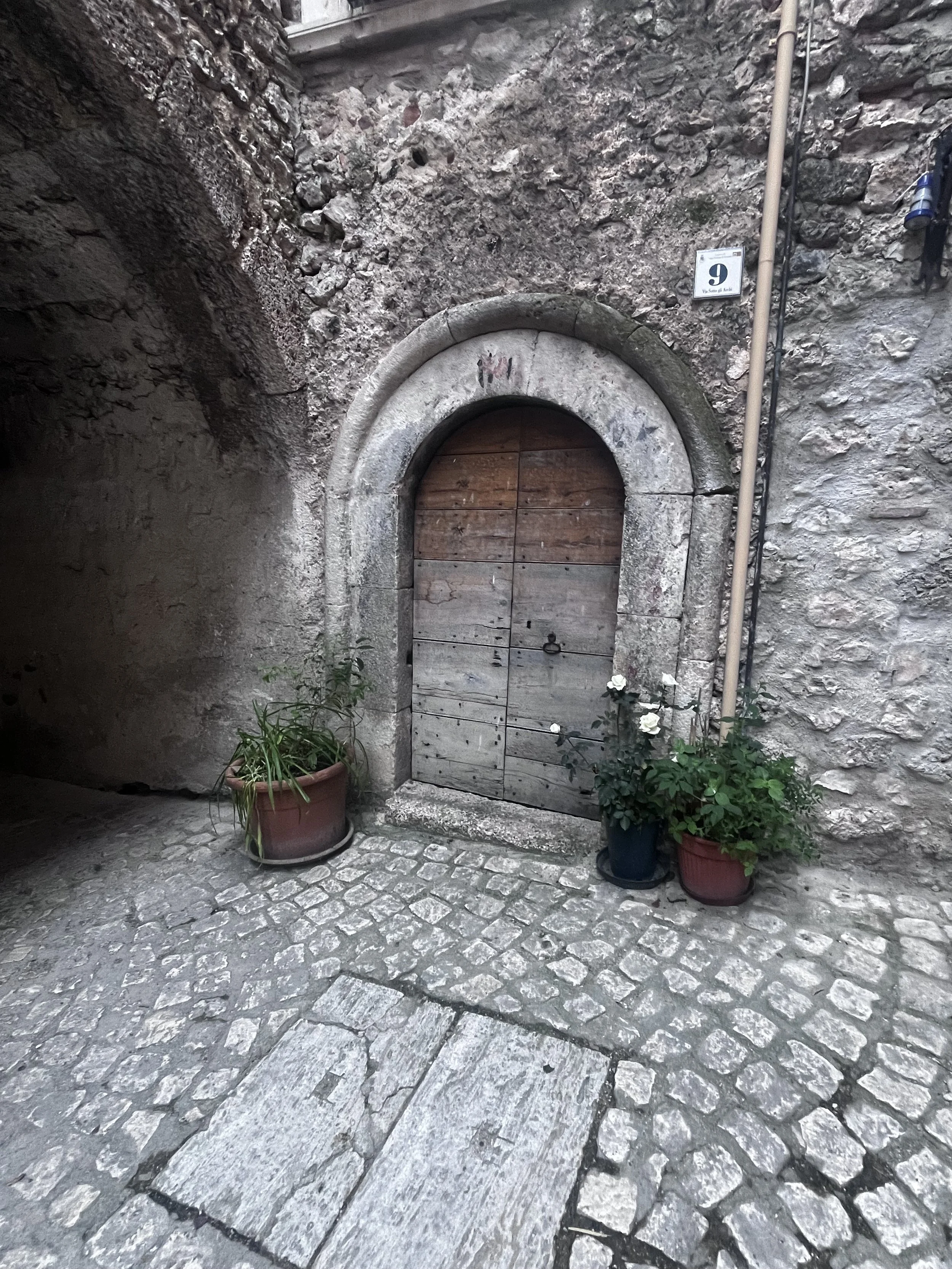 IMG_8402.jpeg