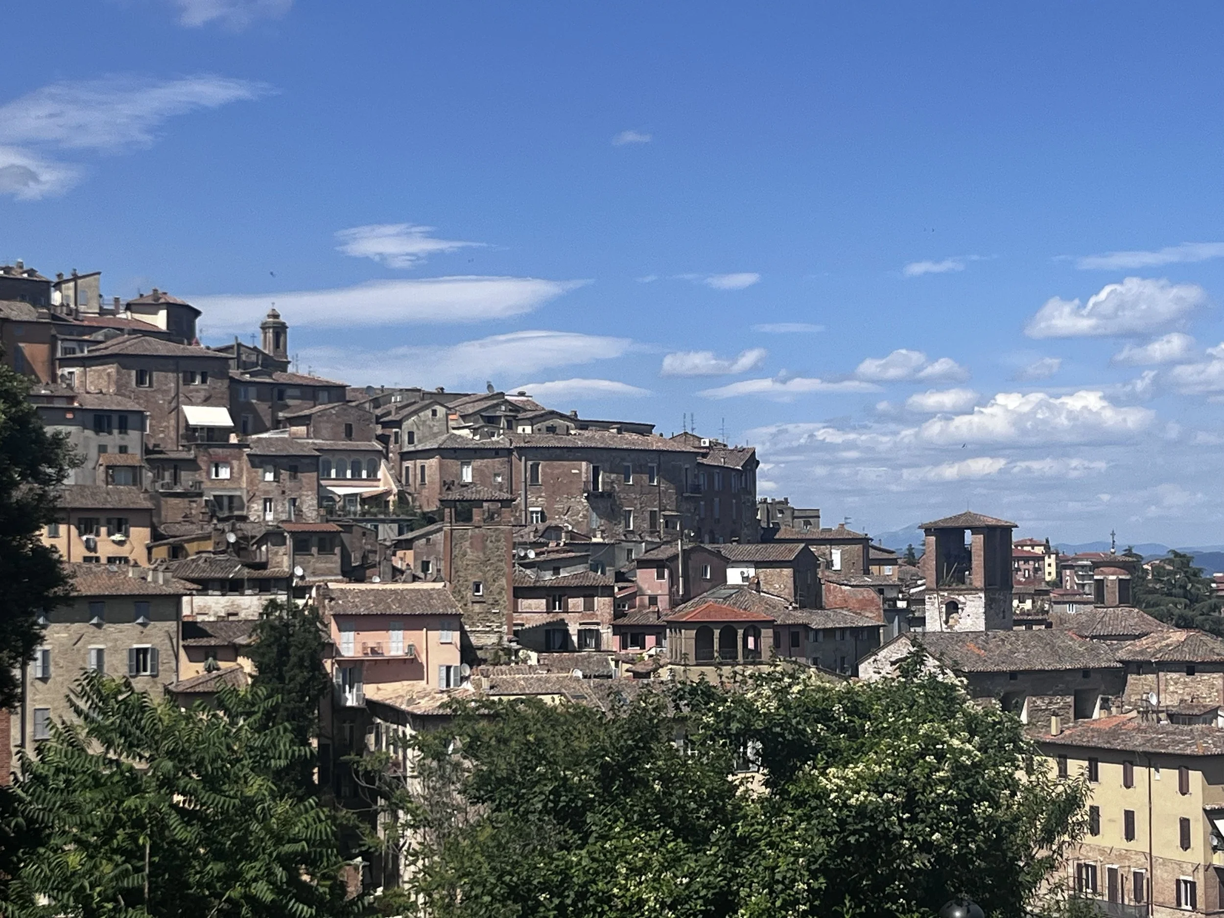 IMG_8518.jpeg