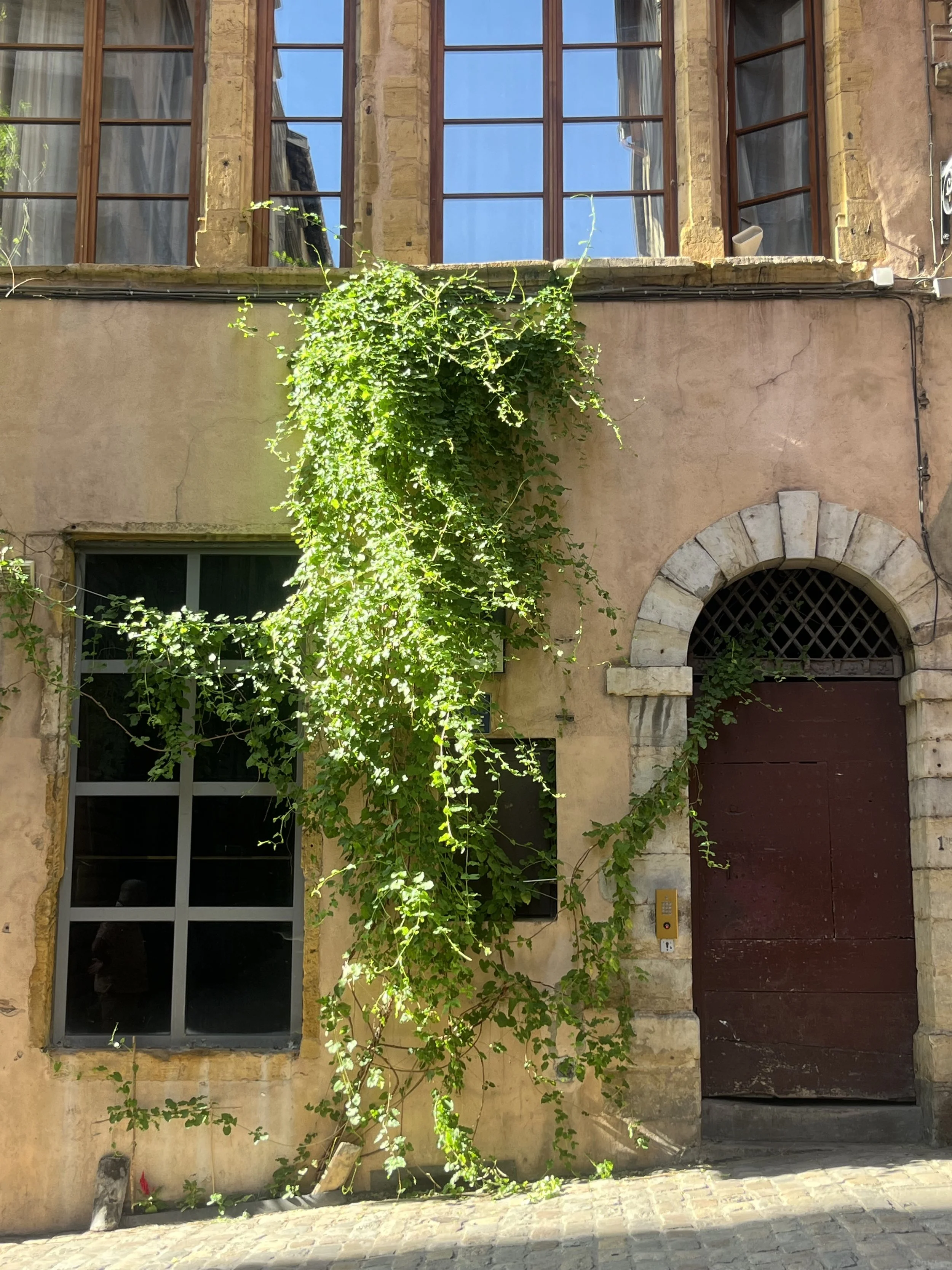 IMG_6089.jpeg