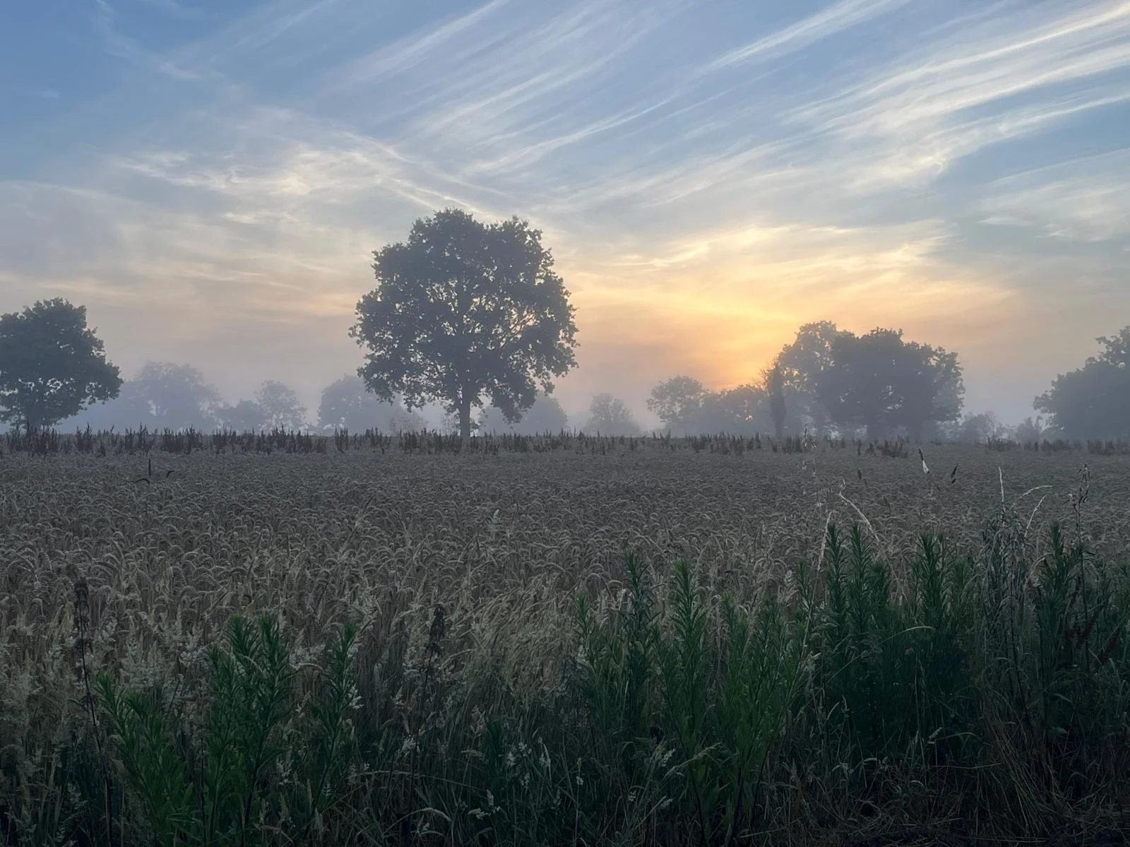 44df6456-de36-4354-9392-000312f02de6.jpeg