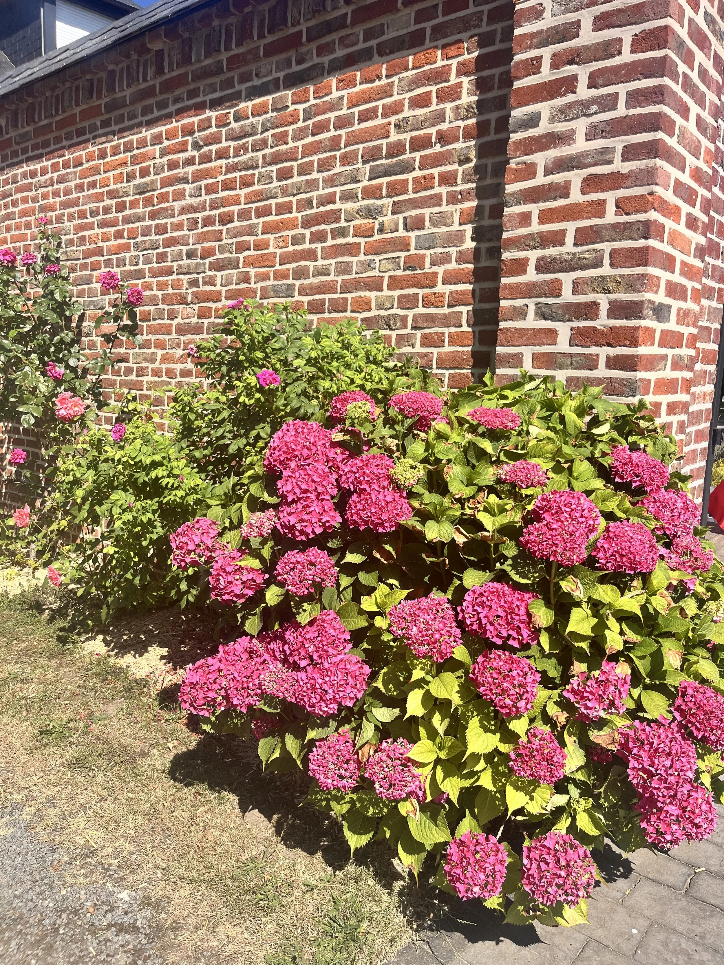 IMG_0441.jpeg