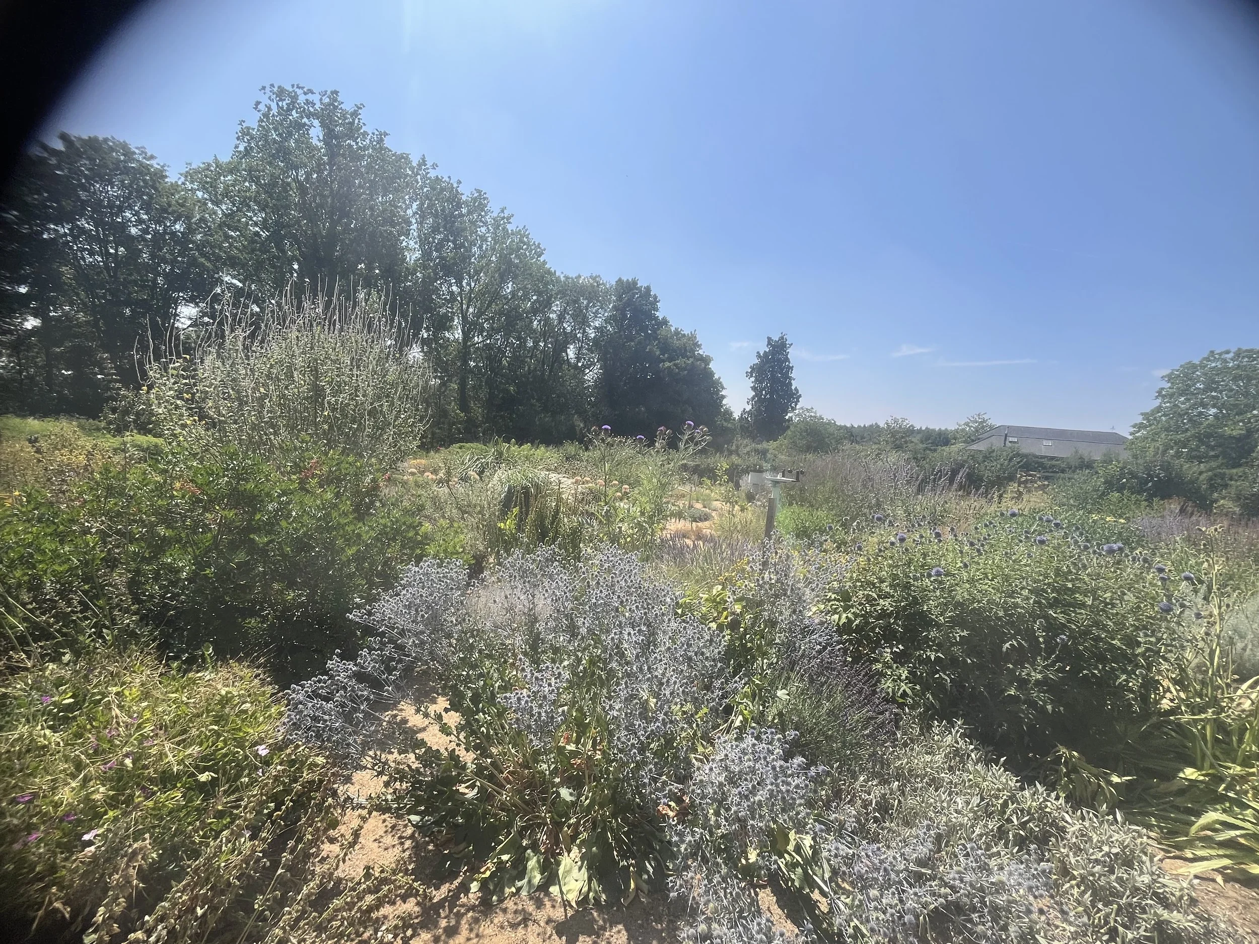 IMG_0698.jpeg
