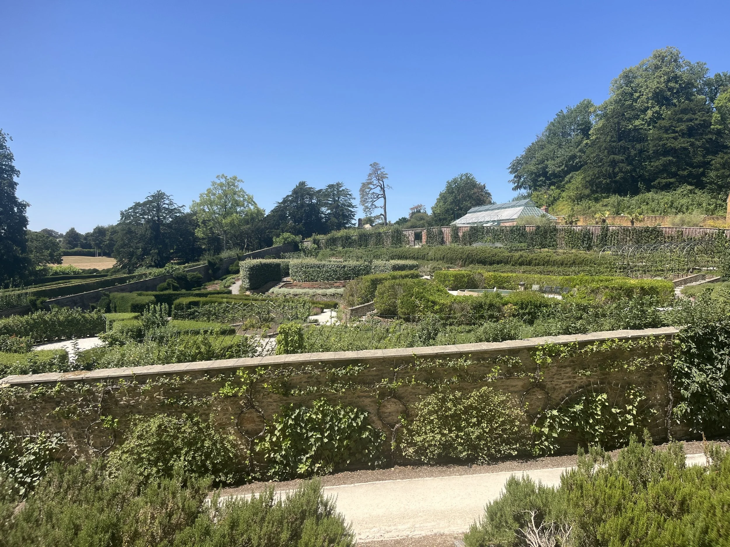 IMG_1040.jpeg