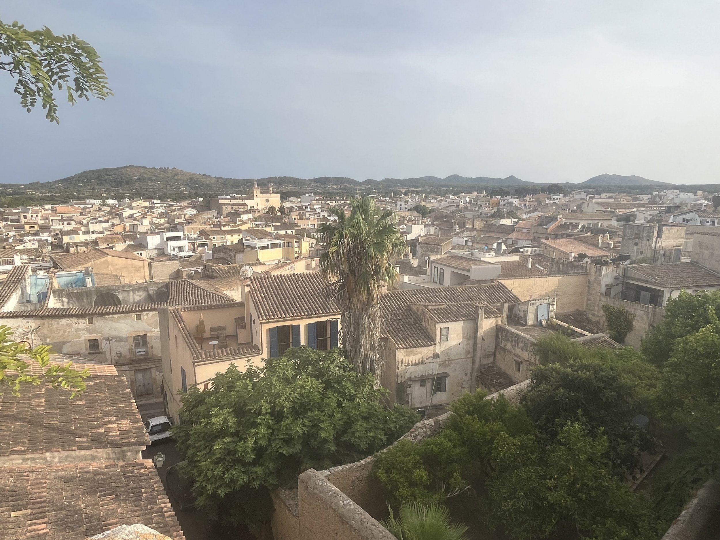 IMG_1092.jpeg