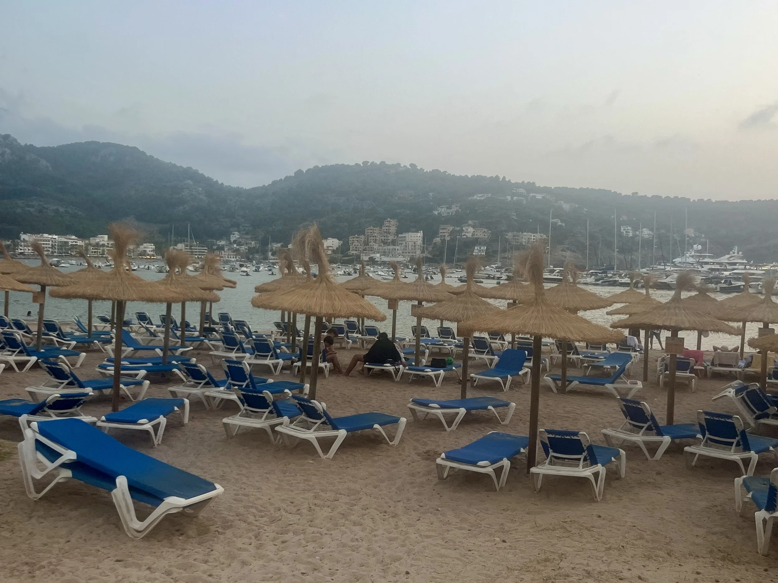 IMG_1186.jpeg