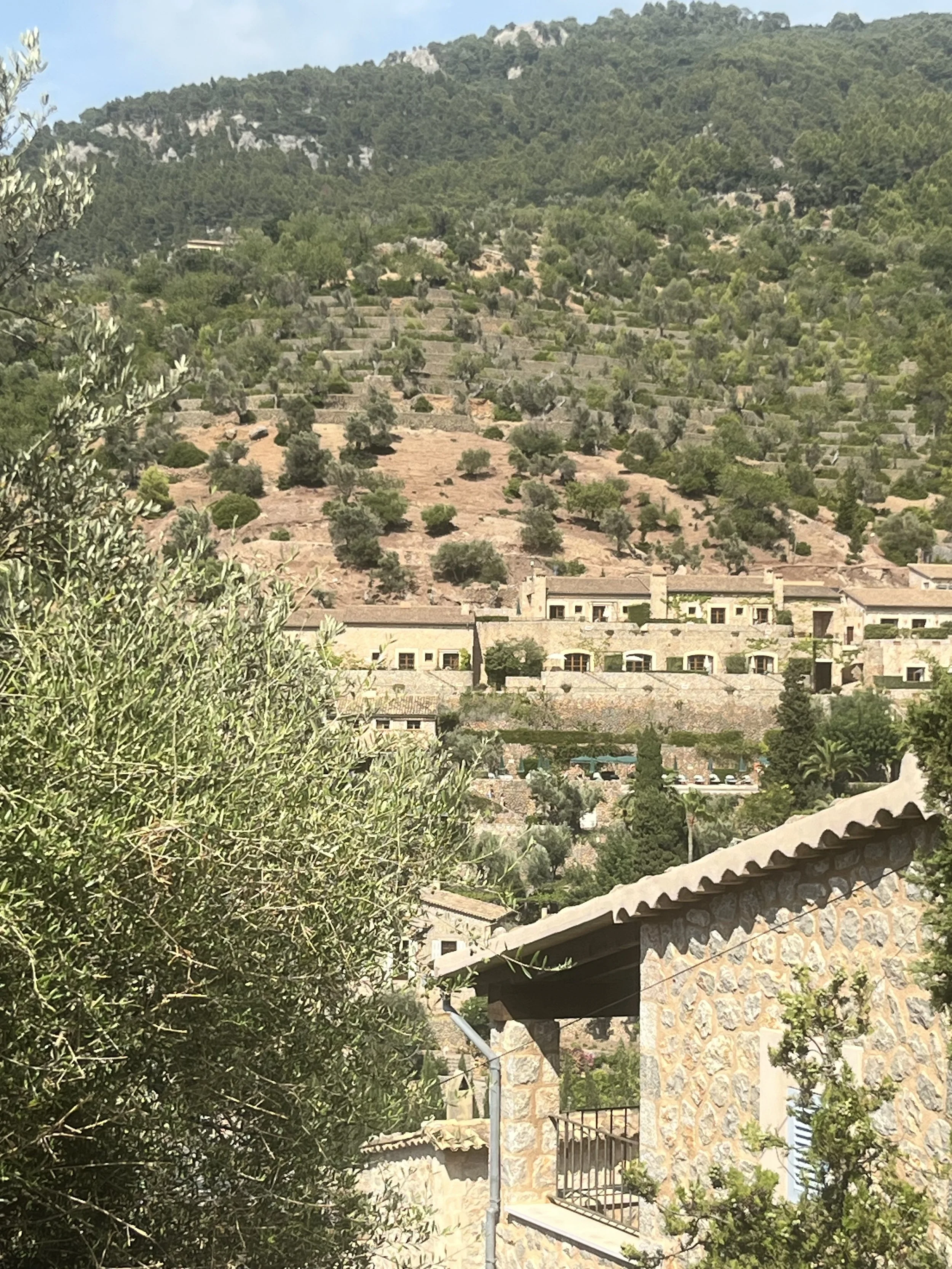 IMG_1221.jpeg