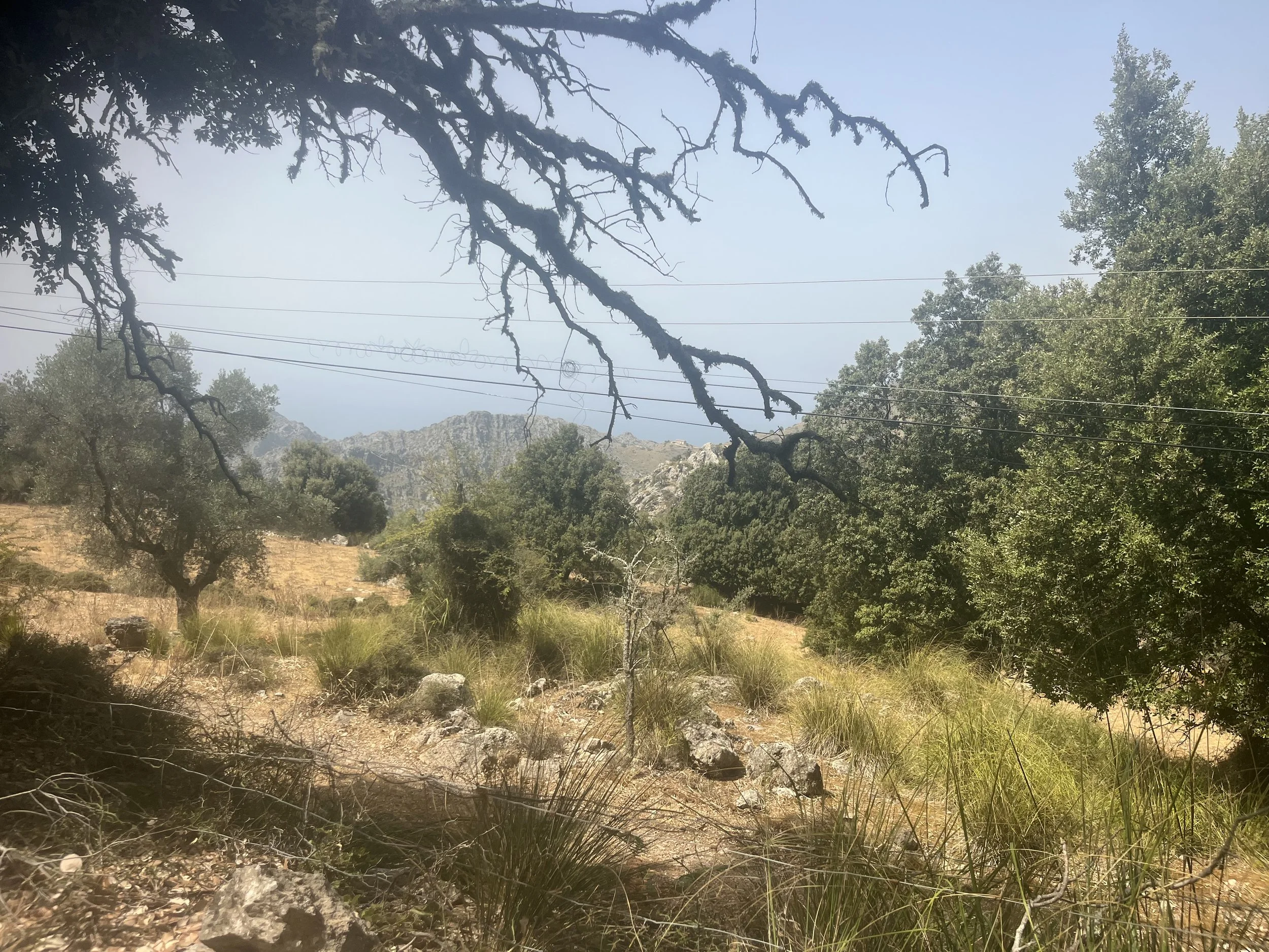 IMG_1180.jpeg