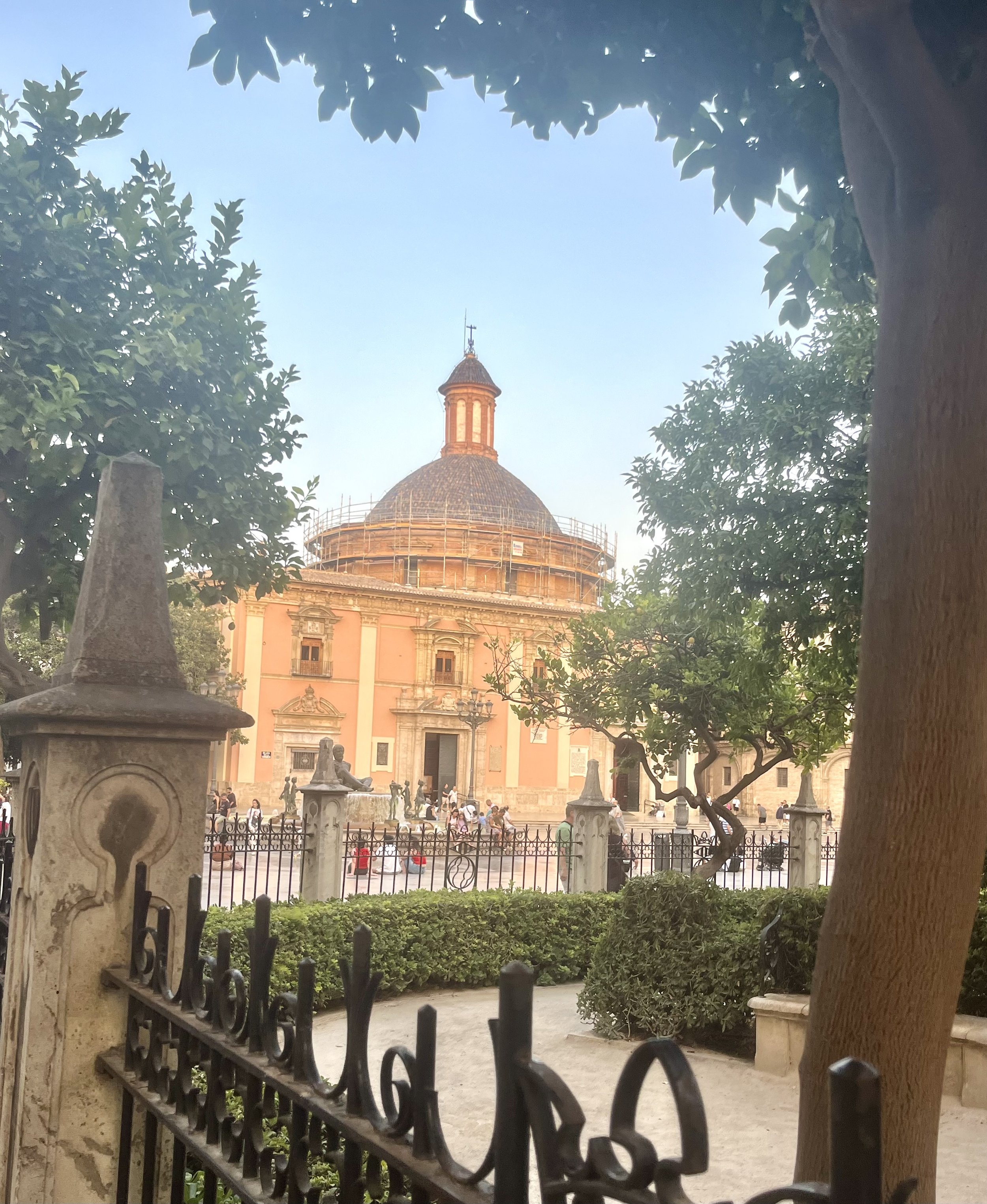 IMG_1325.jpeg