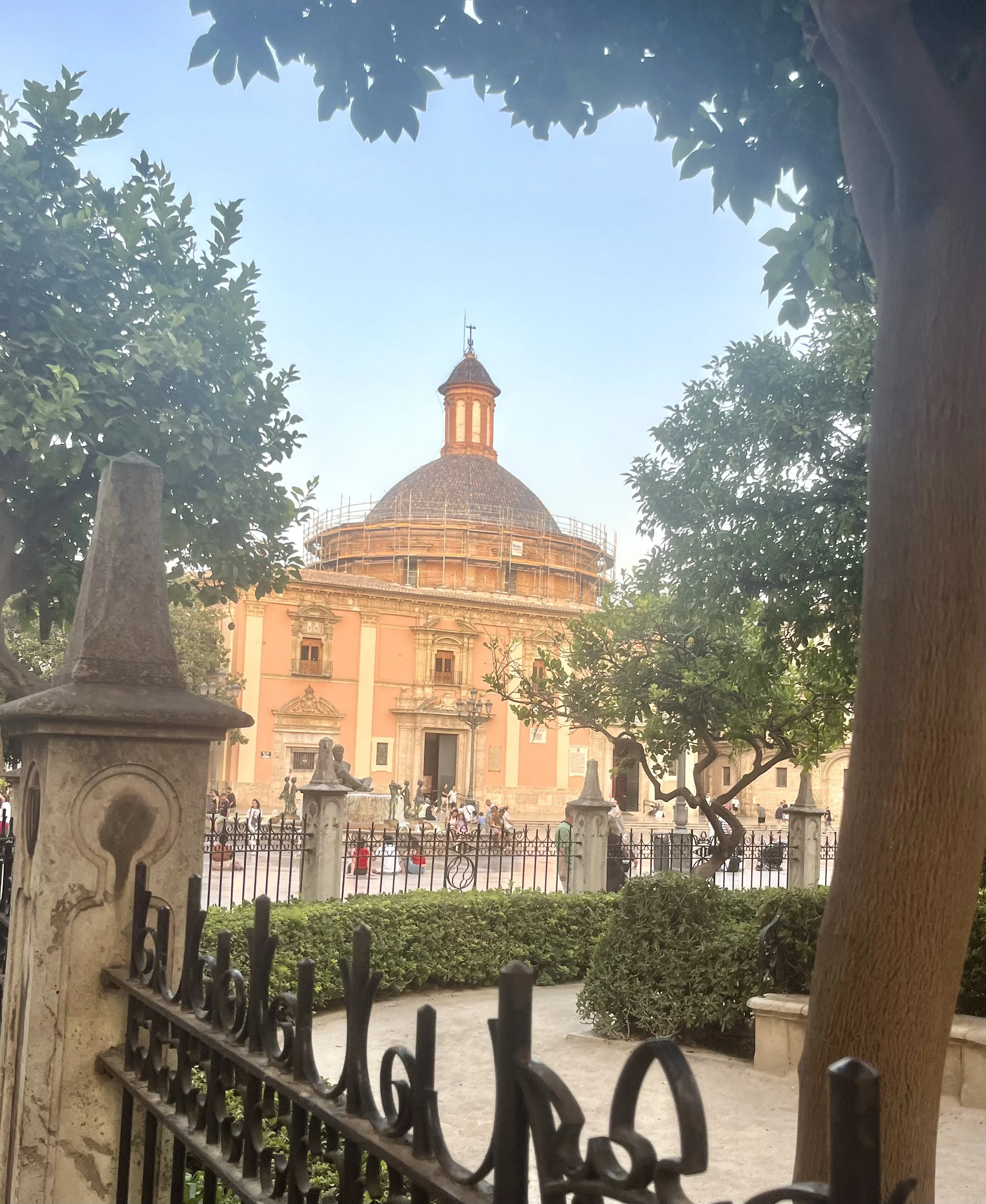 IMG_1325.jpeg