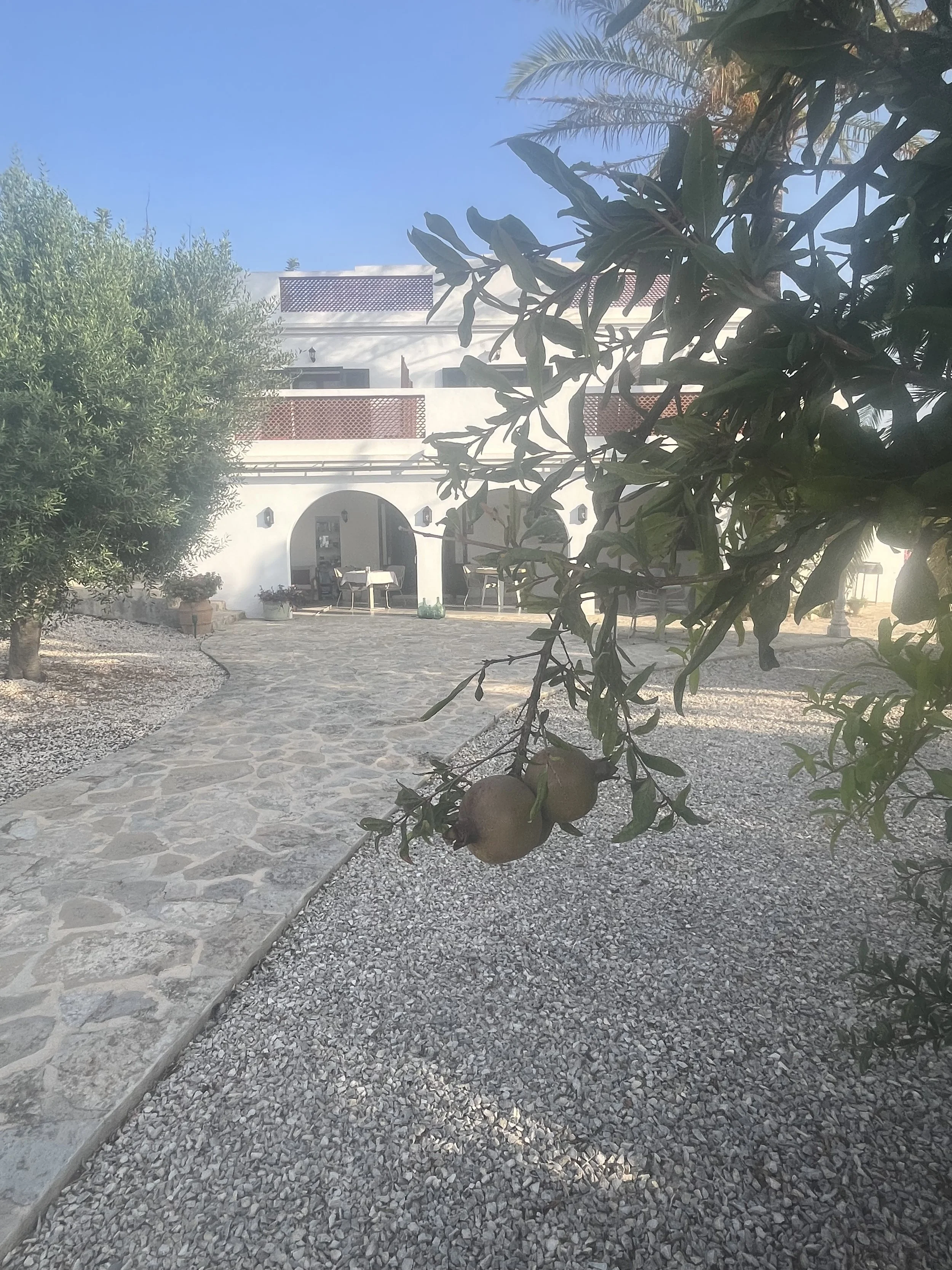 IMG_1412.jpeg