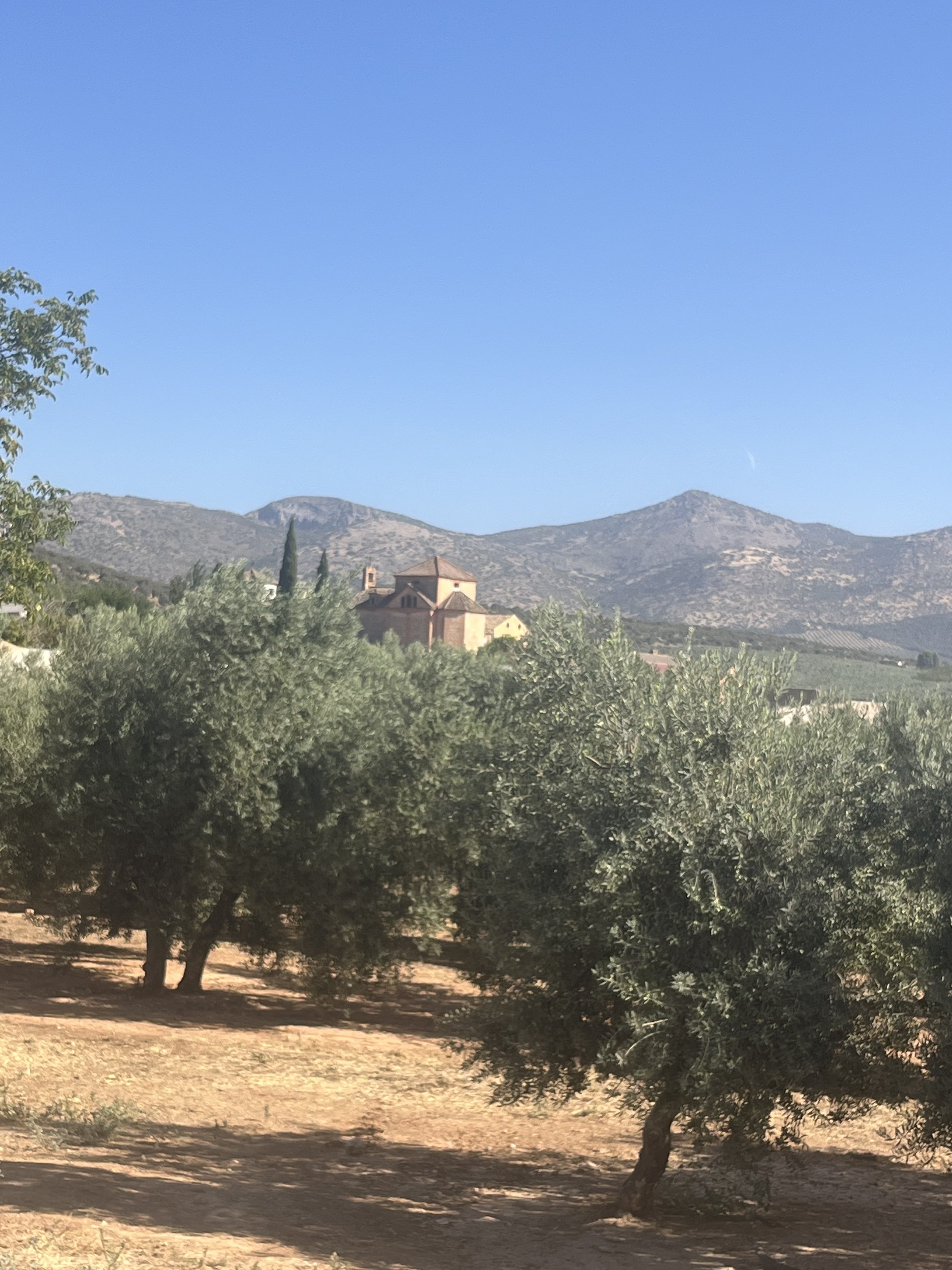 IMG_1476.jpeg