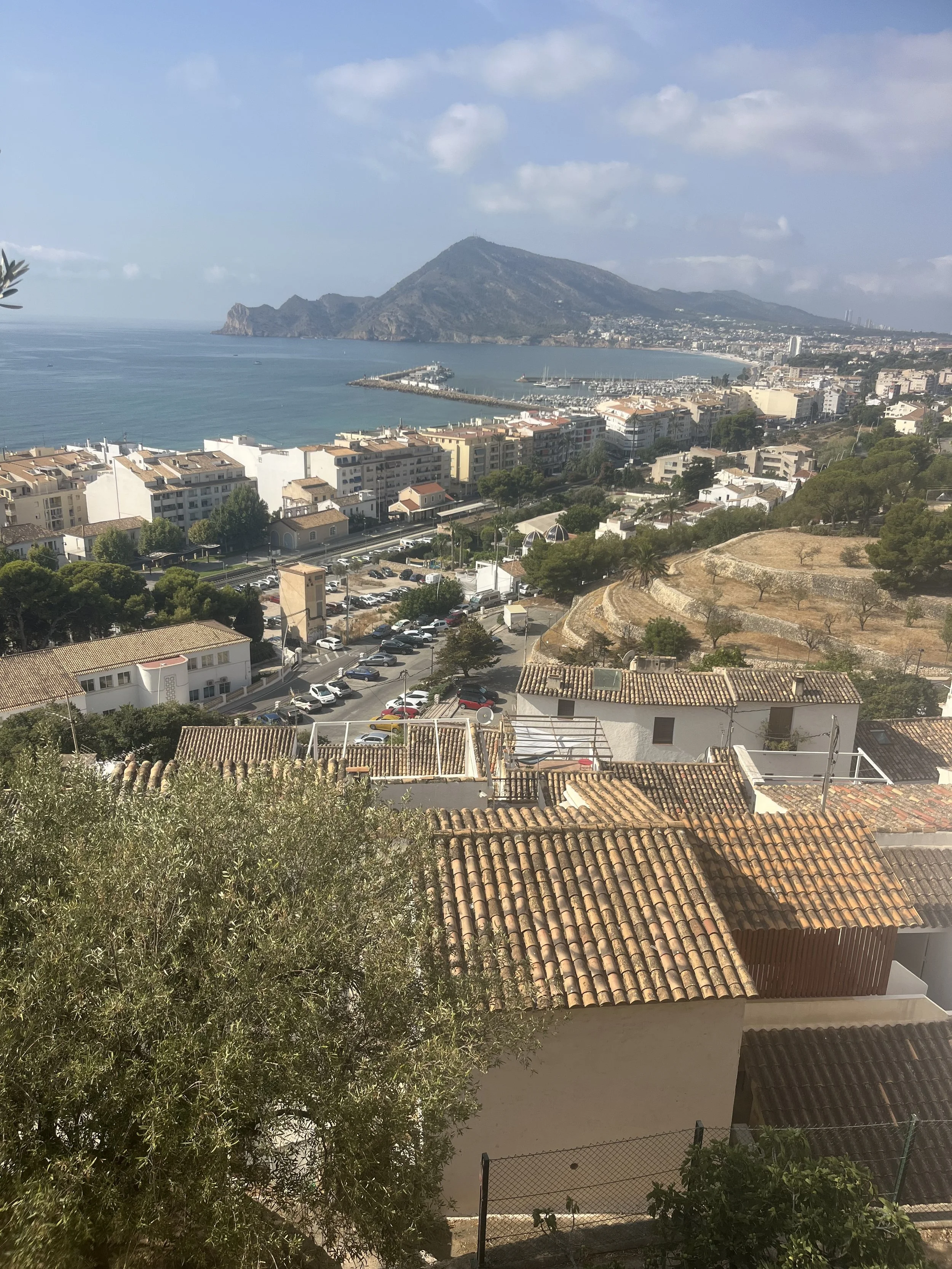 IMG_1456.jpeg