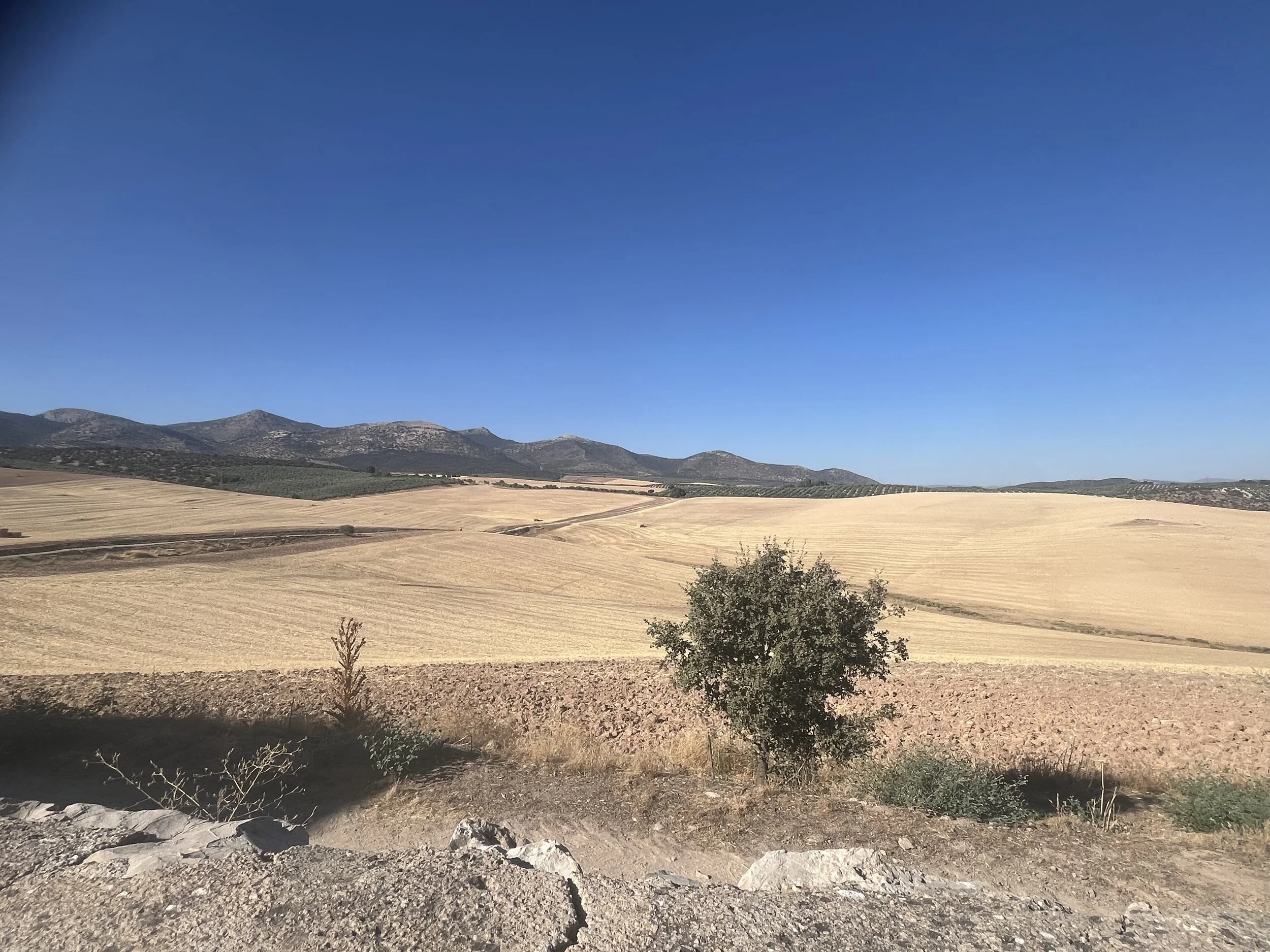 IMG_1507.jpeg