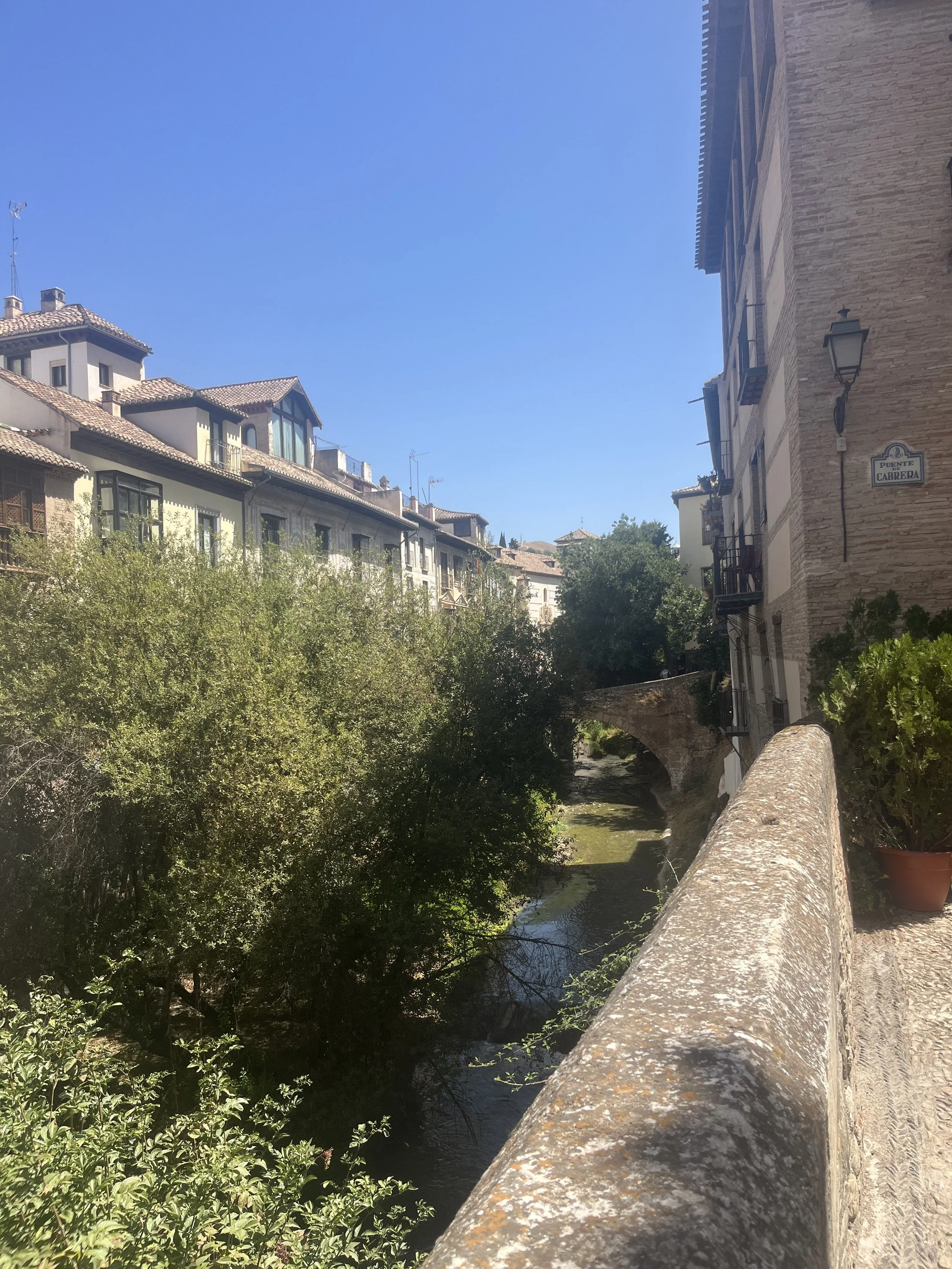 IMG_1483.jpeg