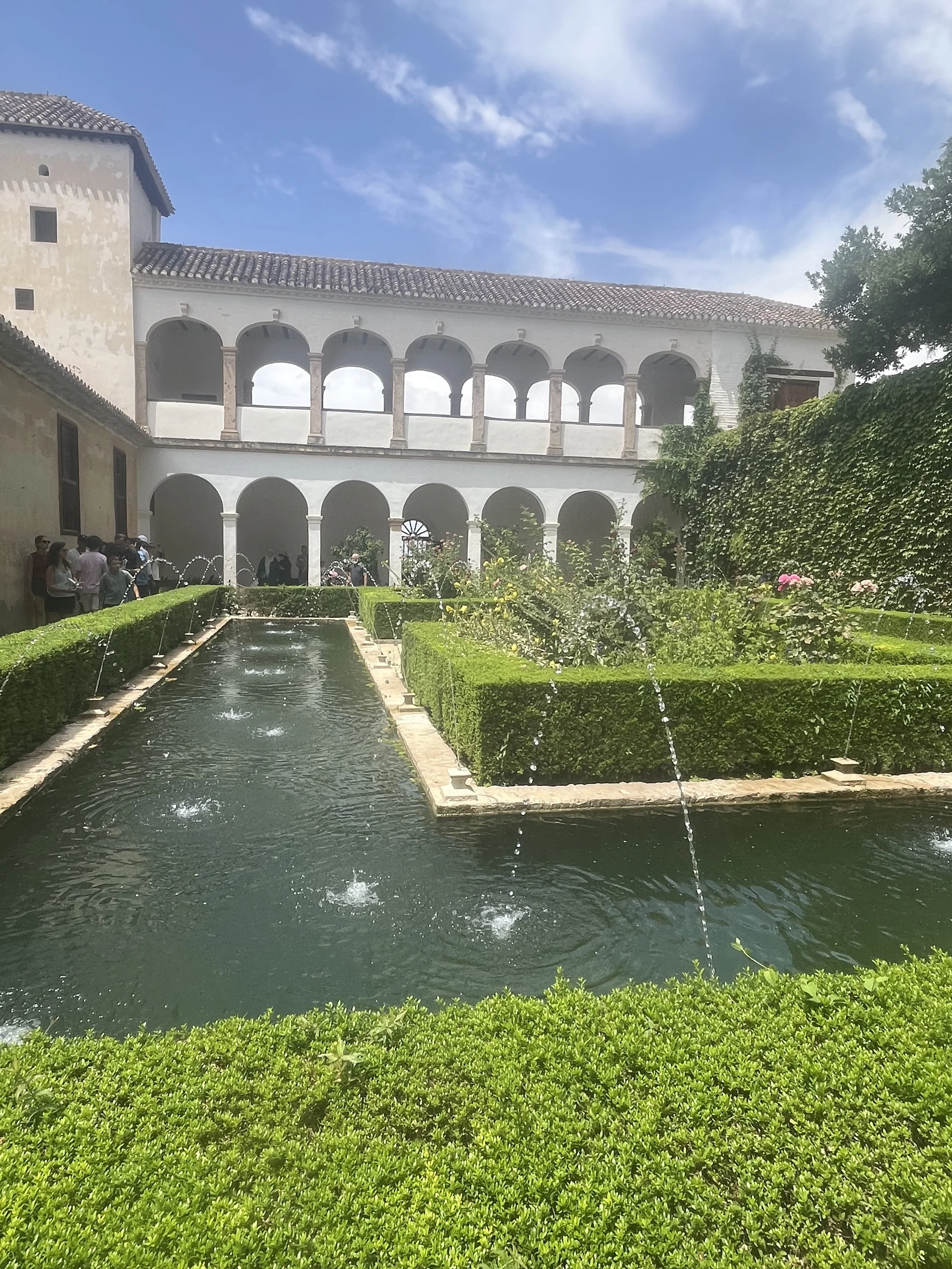 IMG_1536.jpeg
