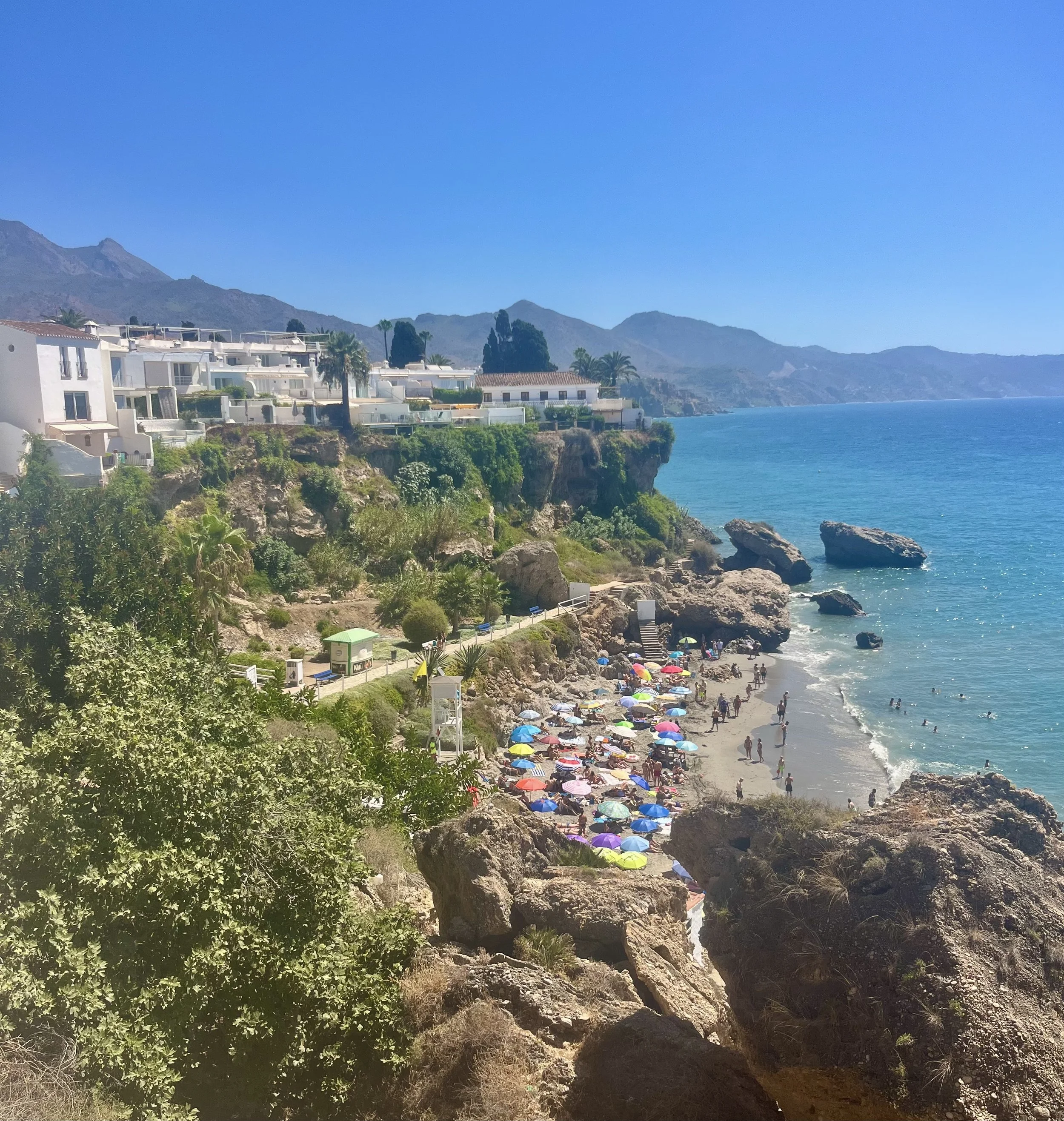 IMG_1600.jpeg
