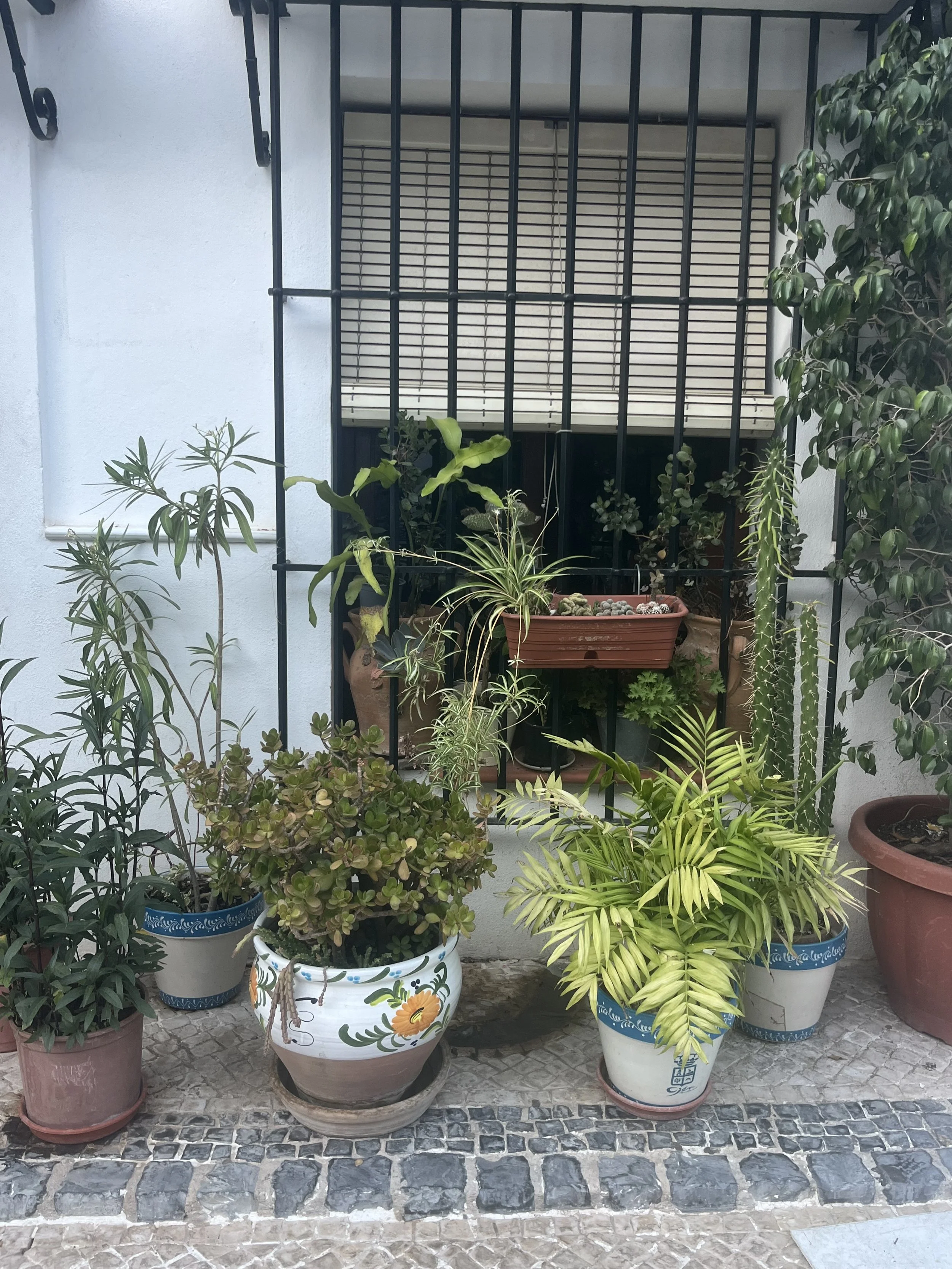 IMG_1608.jpeg