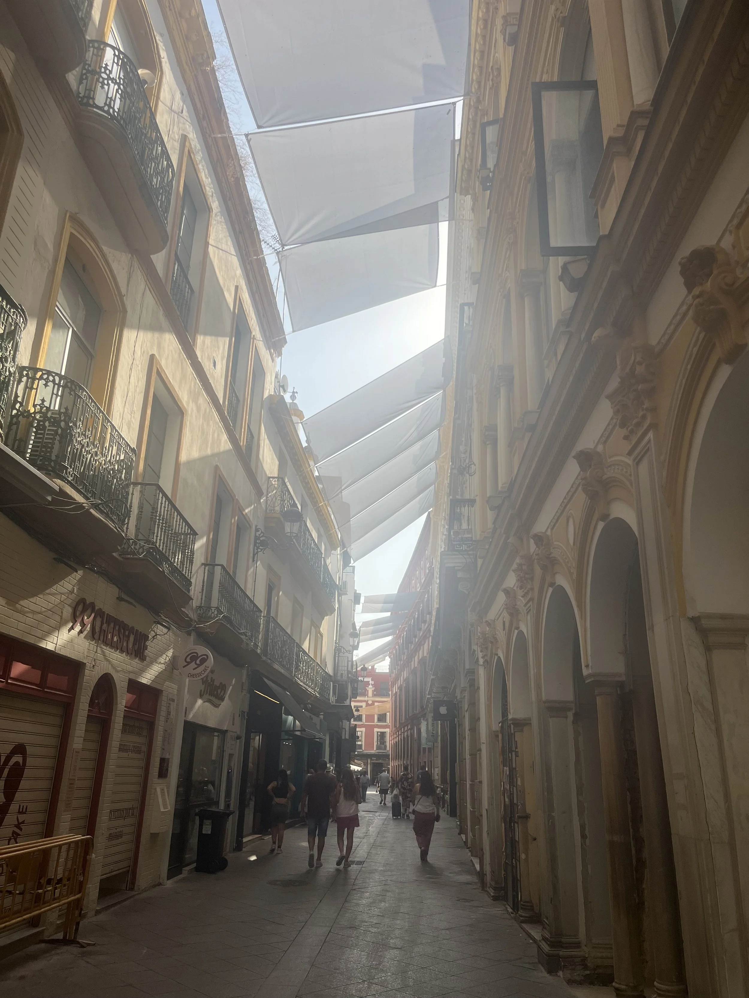 IMG_1901.jpeg