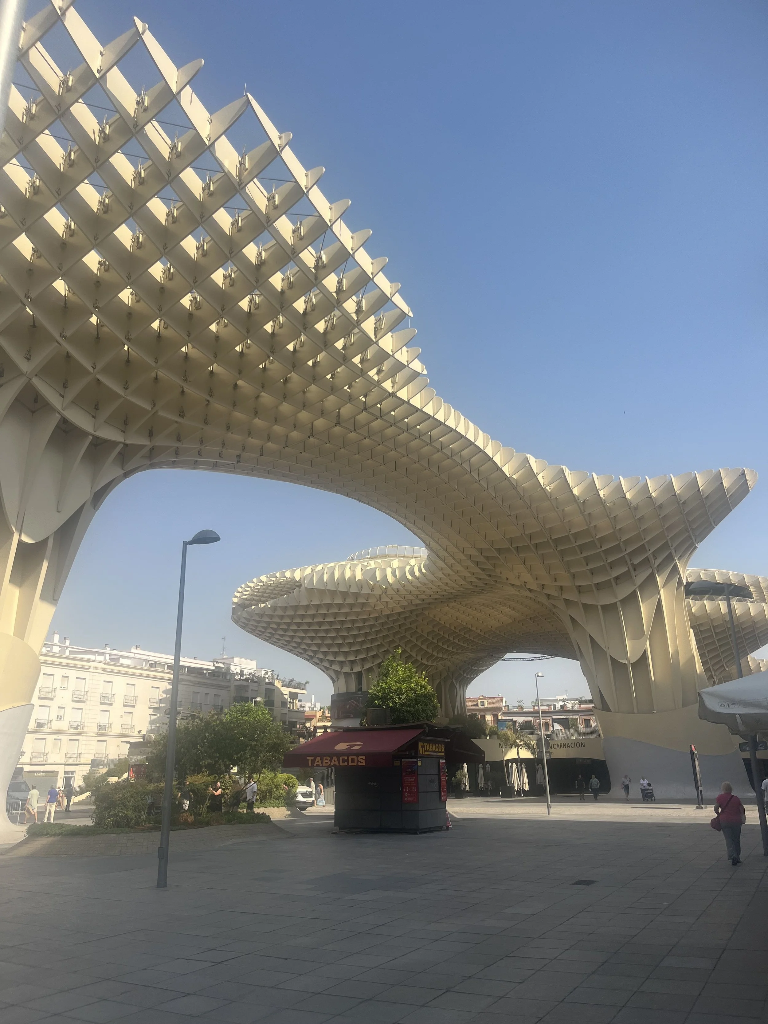 IMG_1909.jpeg