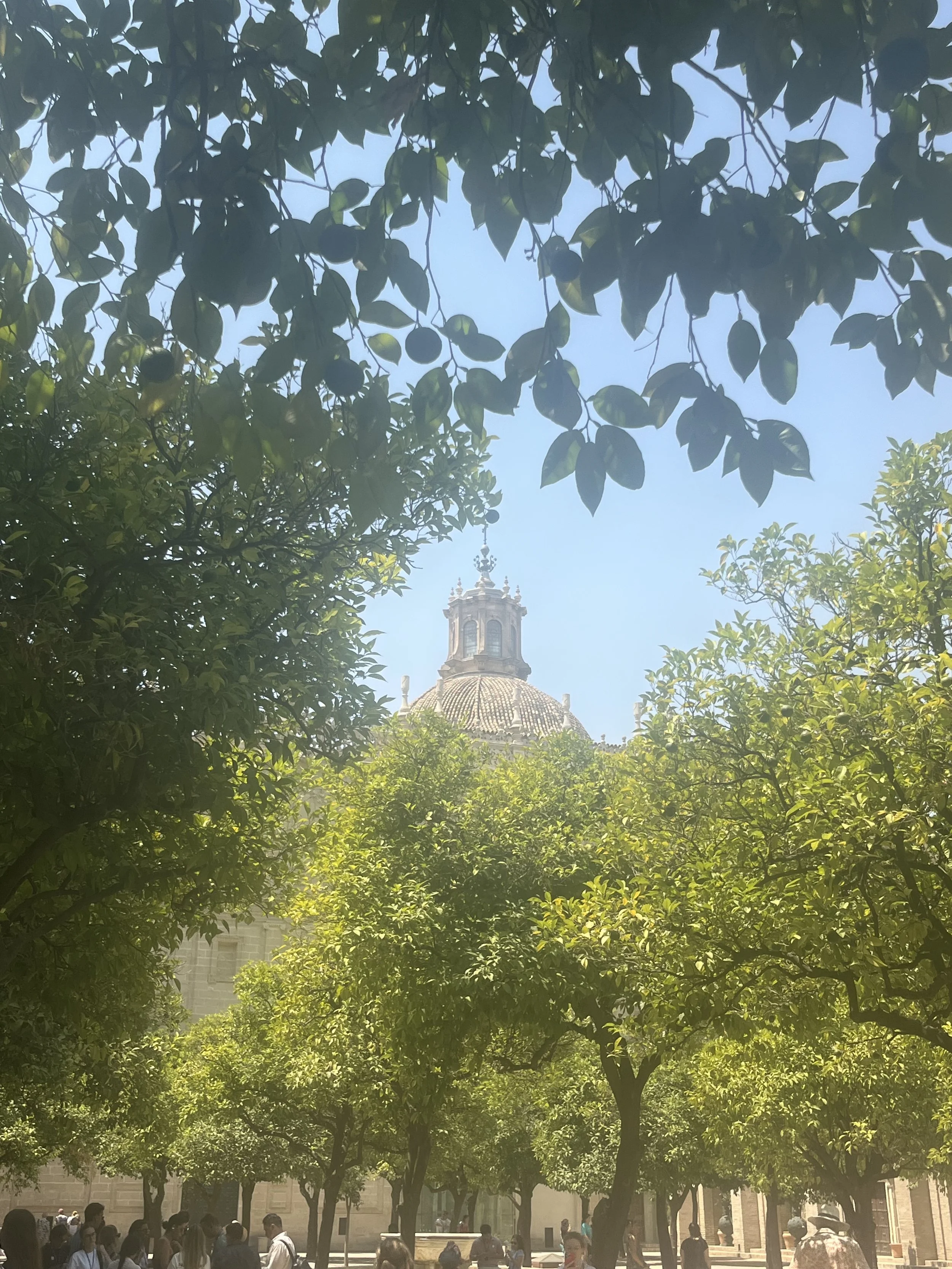 IMG_1952.jpeg