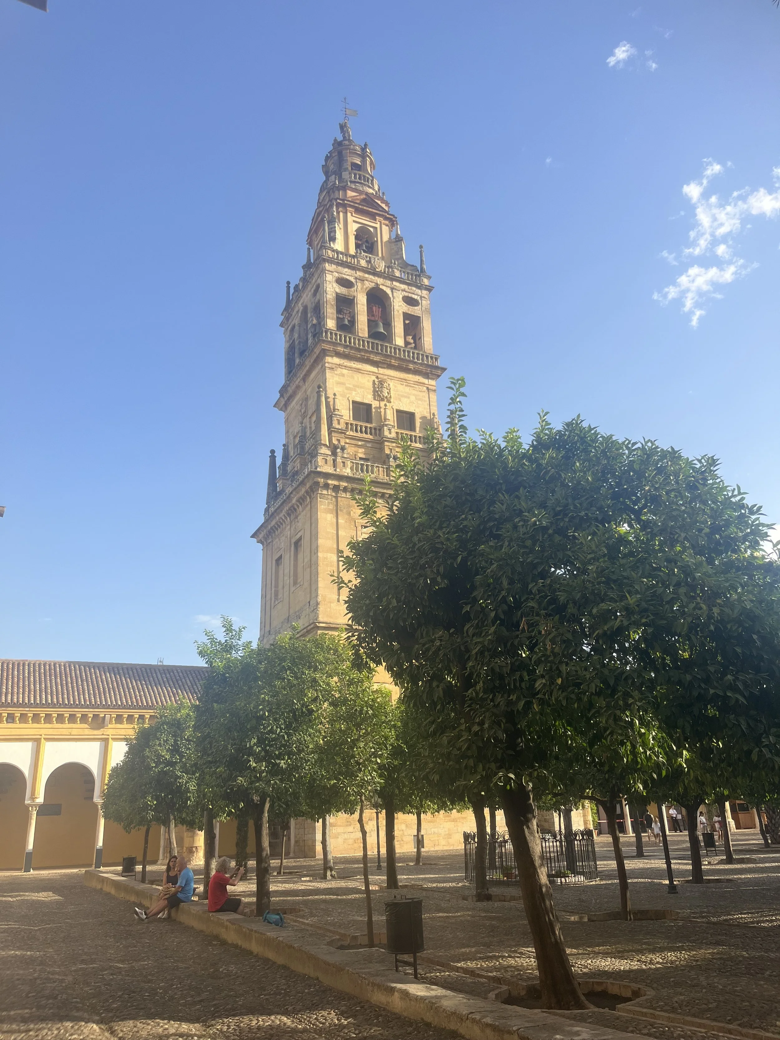 IMG_1983.jpeg