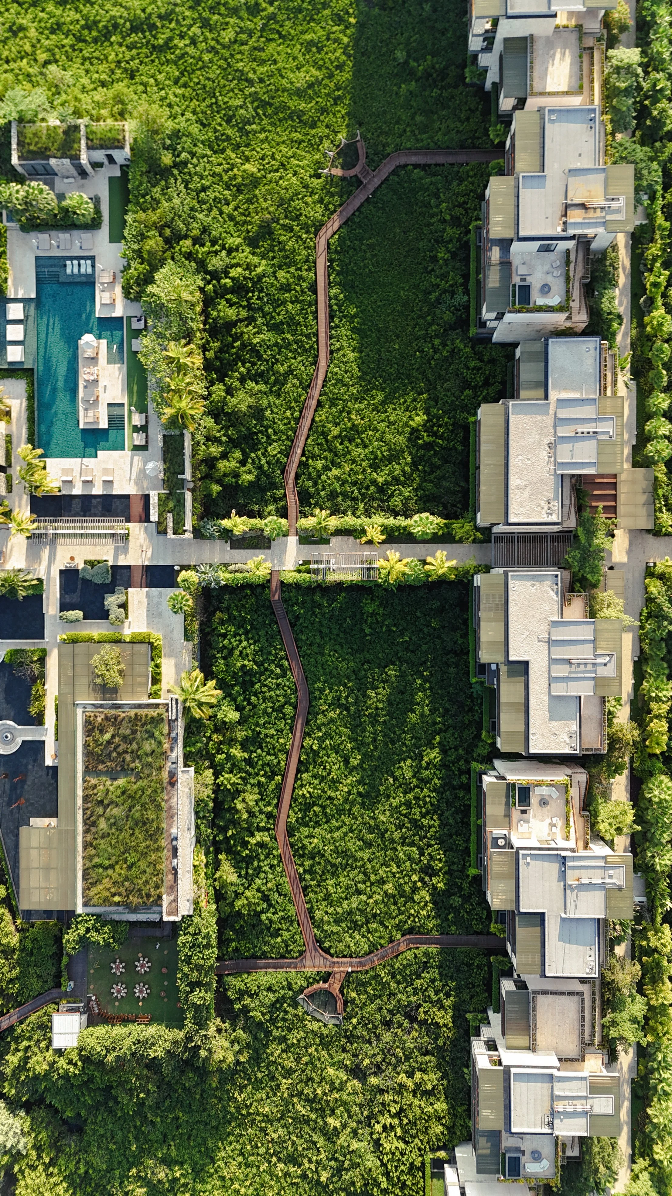 DJI_20260124163410_0039_D.jpg