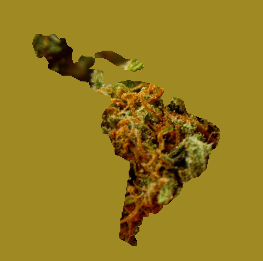 Navegando por las Aguas de la Legalidad: El Estado del CBD Medicinal en América Latina