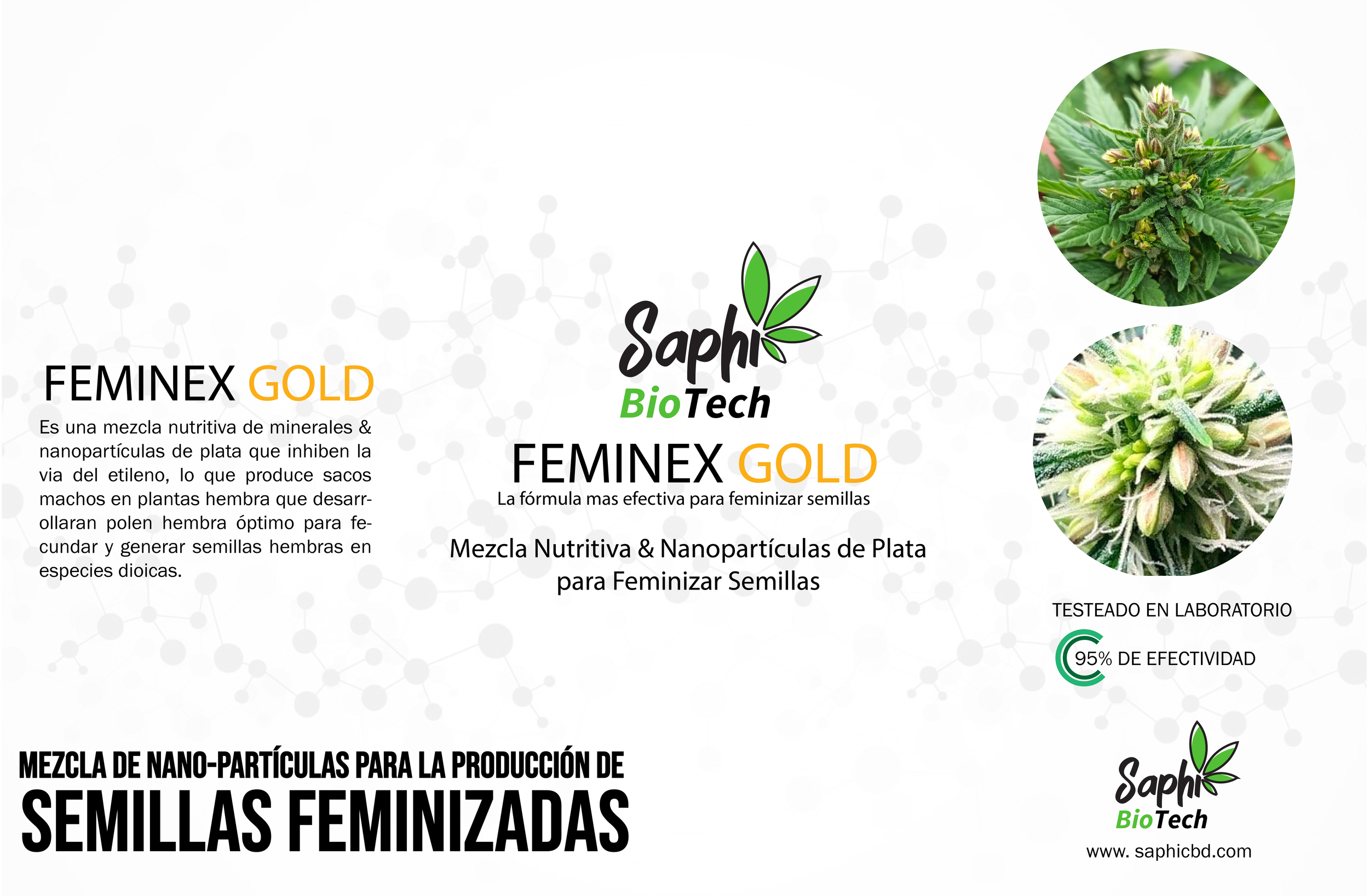 Feminex Gold@4x.png