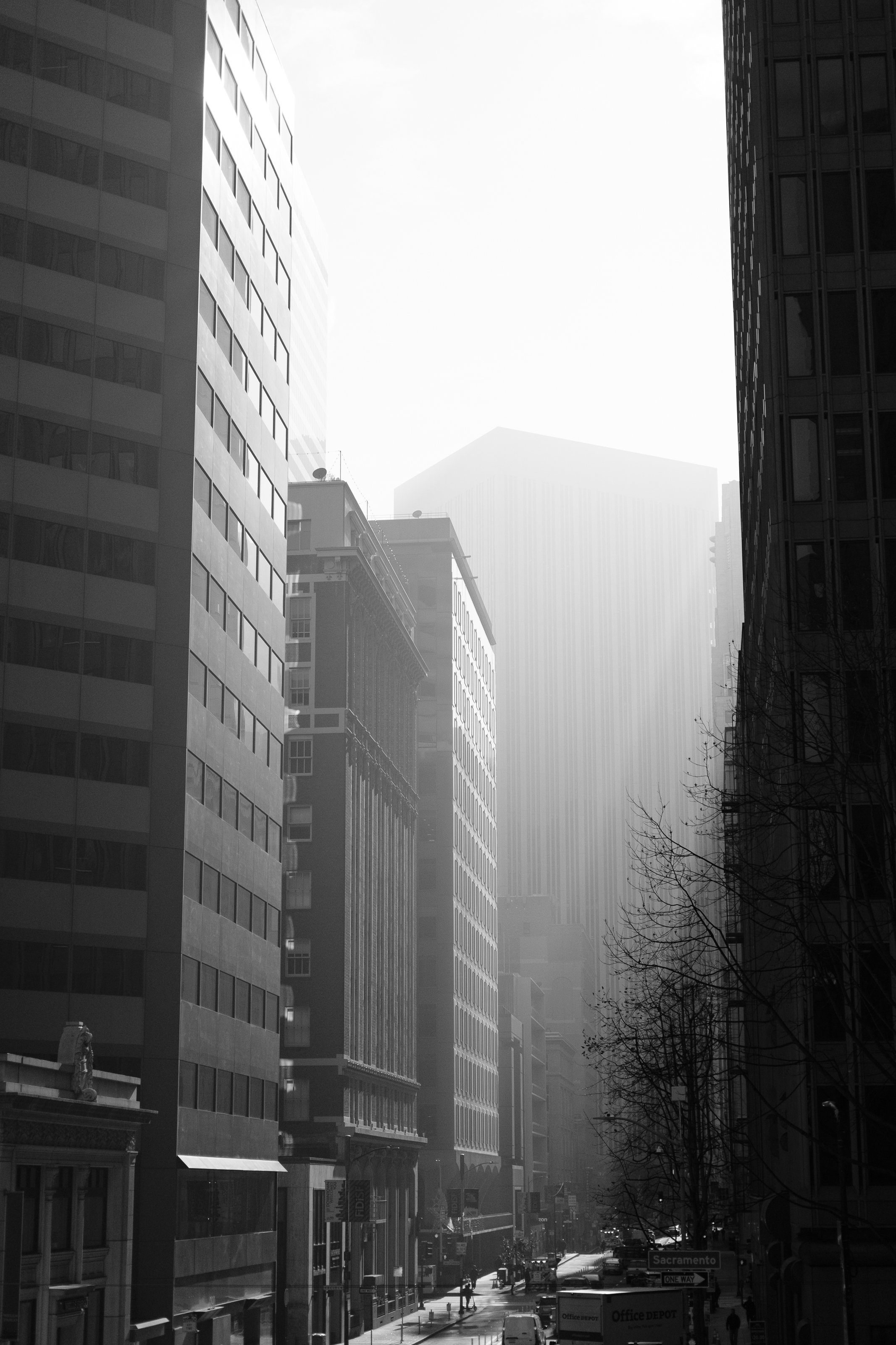 Black and white photo of tall city buildings along a busy street, with haze in the background and bare trees lining the sidewalk.