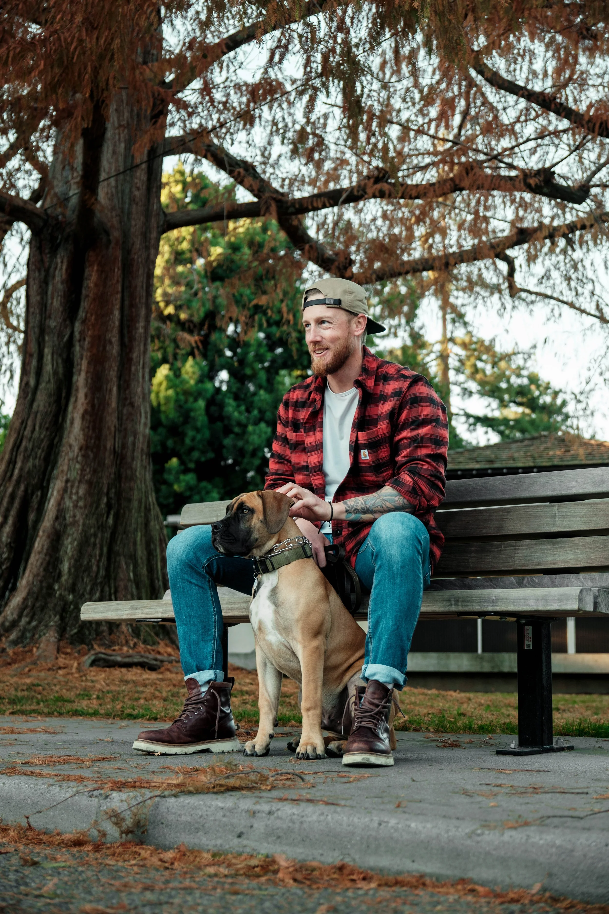 A man with a beard, wearing a red plaid shirt, a white t-shirt, blue jeans, brown boots, and a backwards baseball cap, sitting on a bench in a park with a large dog. The man is petting the dog, which is sitting beside him, under a big tree with autum