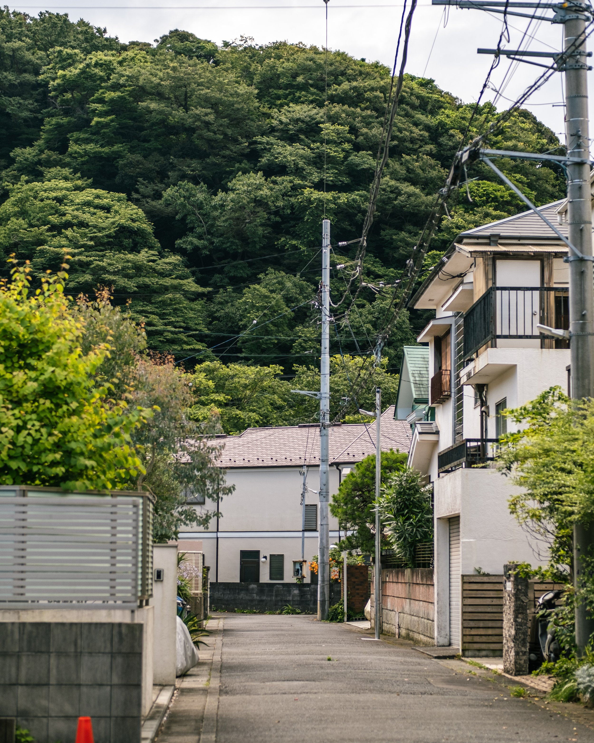 A quiet residential street with houses on the right side, surrounded by lush green trees and a forested hill in the background. Utility poles and wires run along the street.