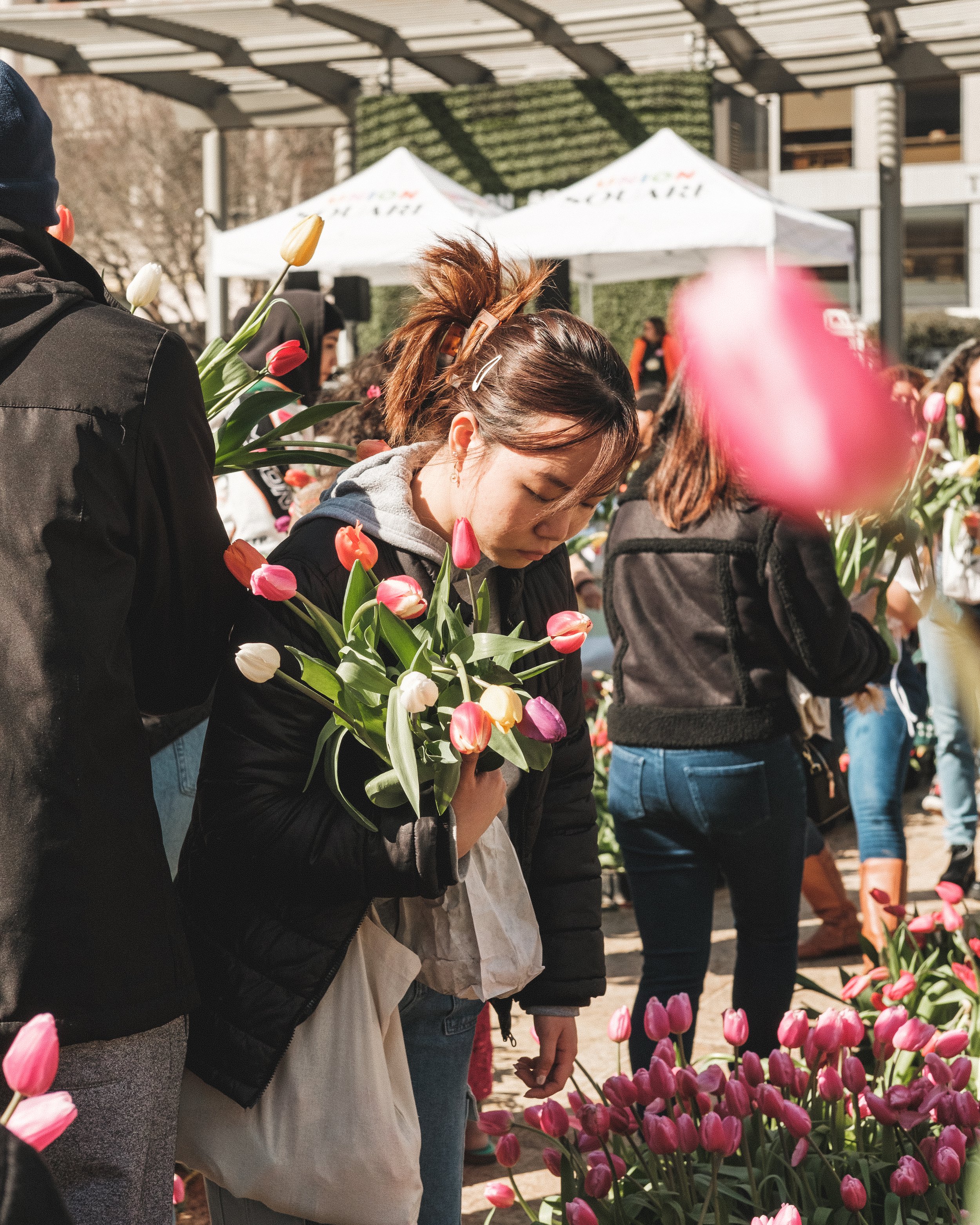 A woman at a tulip market holds a bunch of pink, white, and purple tulips, looking closely at the flowers amid other people shopping for tulips.