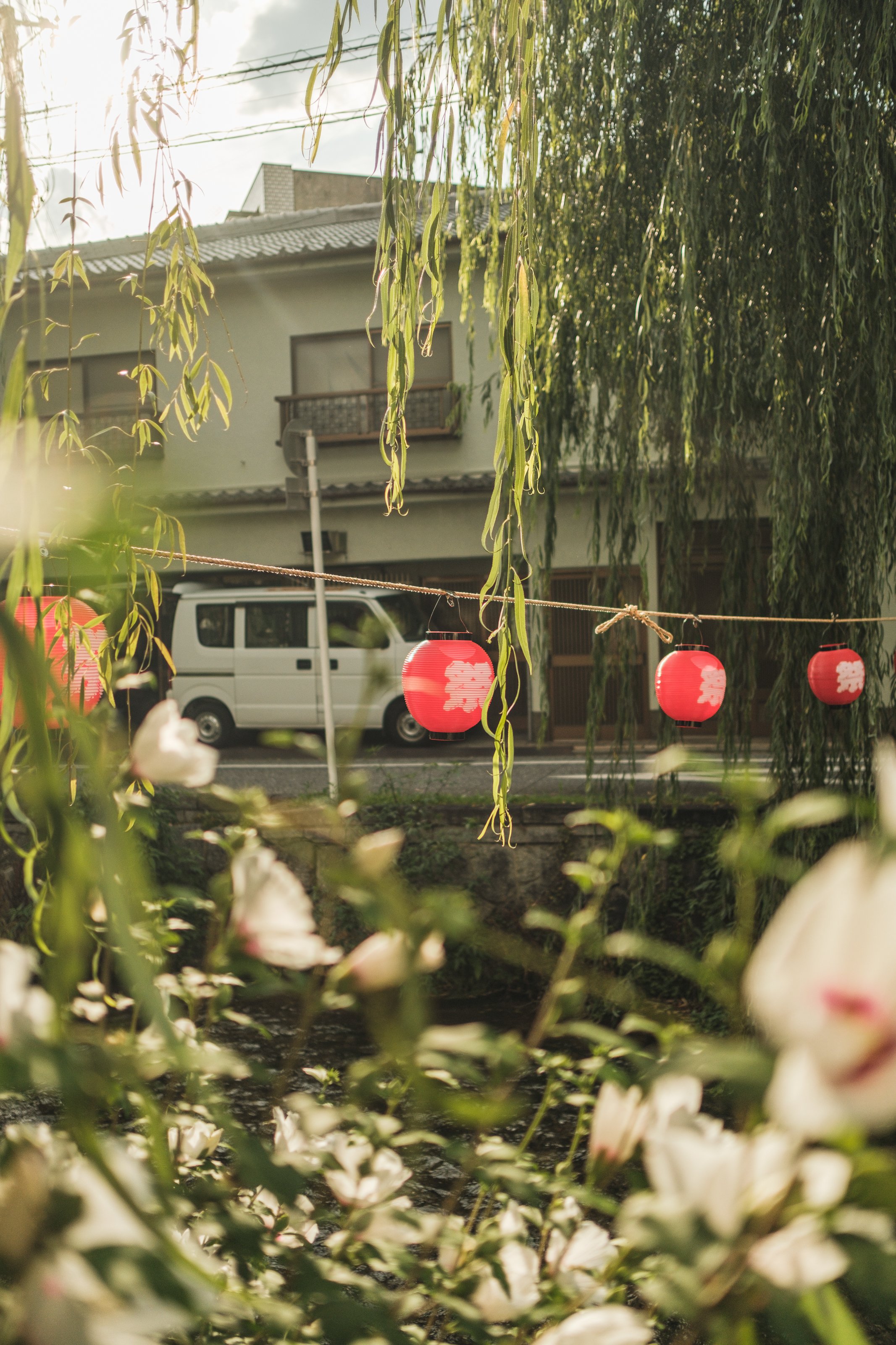 Red paper lanterns hanging on a string outdoors, framed by green leafy branches and flowering plants, with a residential building, a parked white van, and a street in the background.