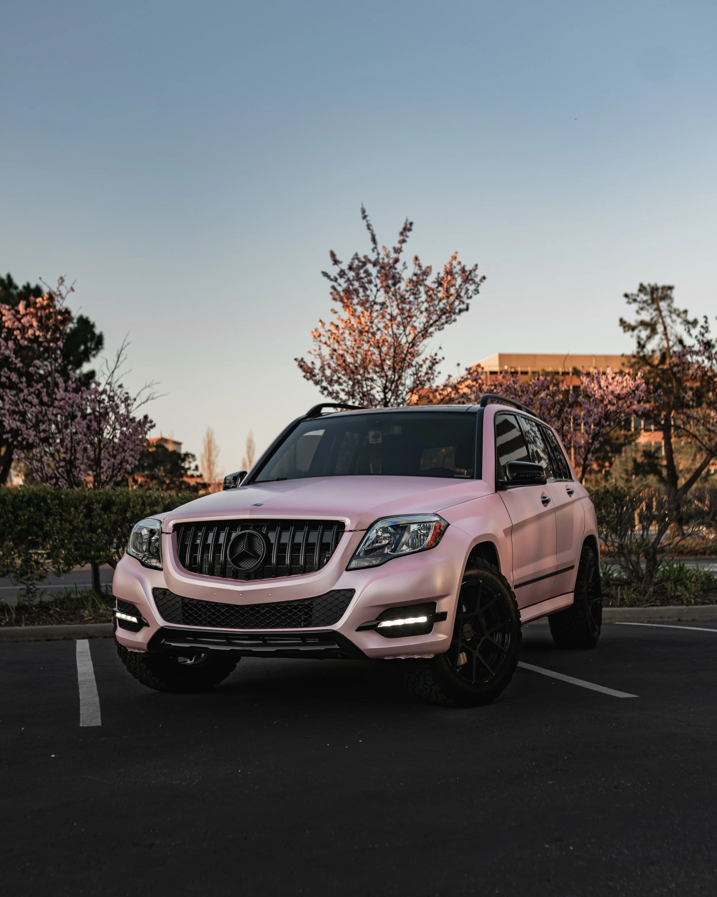 Pink Mercedes-Benz SUV parked in a parking lot with cherry blossom trees and a building in the background during sunset.