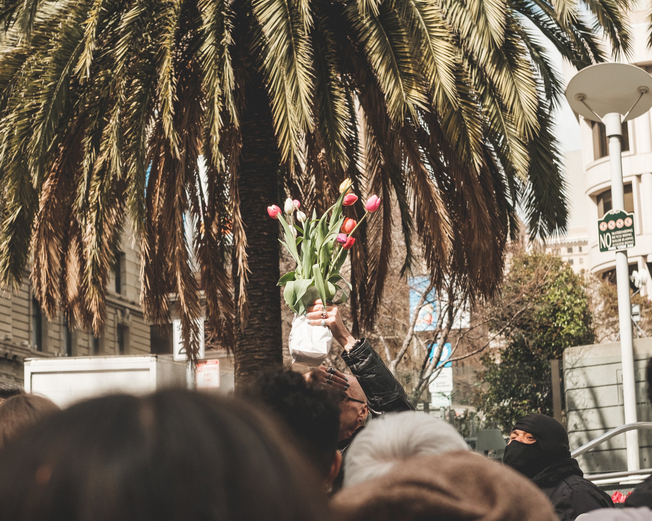 A person in a black jacket is raising a bouquet of pink tulips above their head in a crowd during daytime, with a large palm tree and buildings in the background.