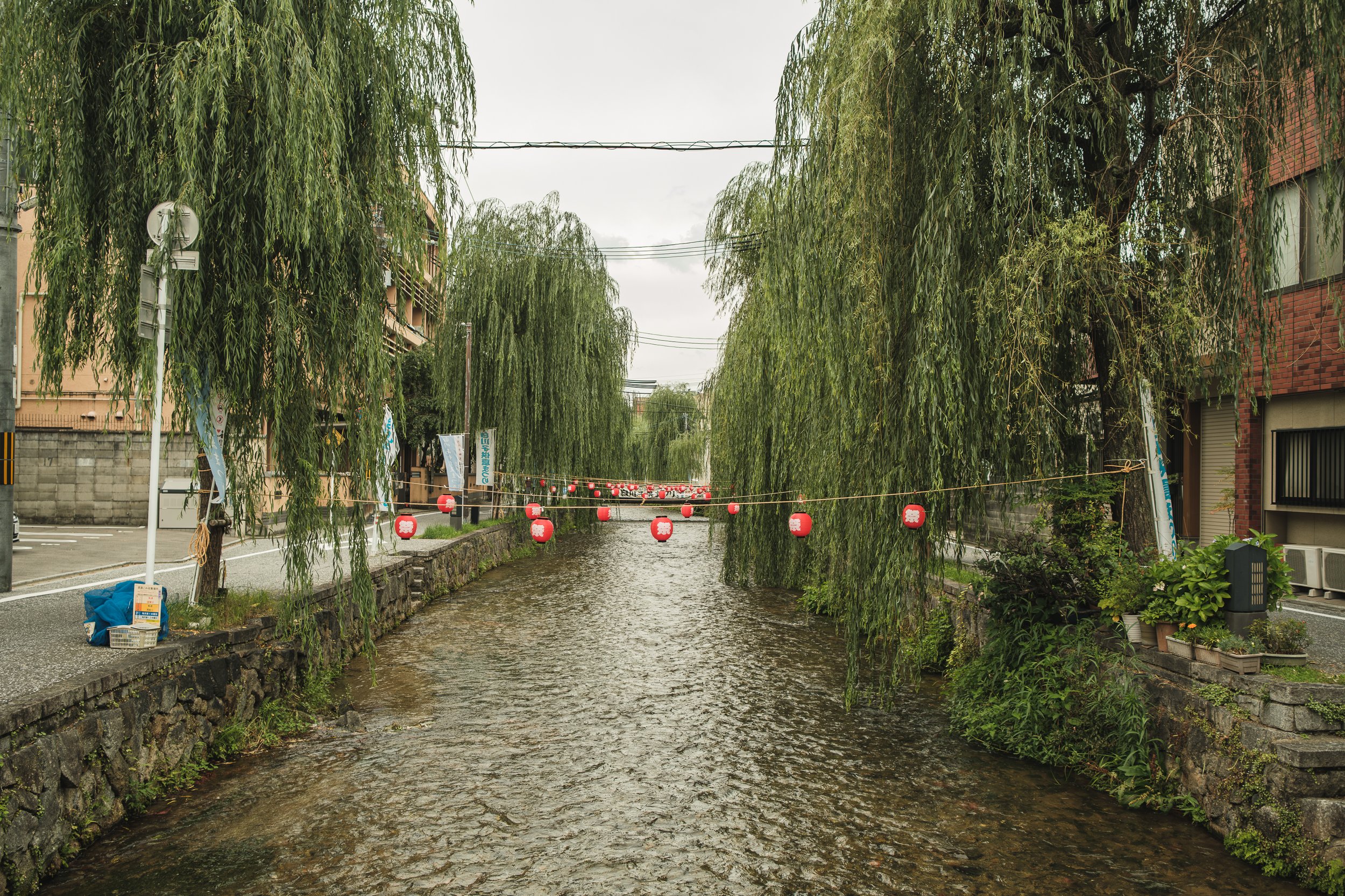 A small urban waterway lined with willow trees and decorated with red paper lanterns across the water, with buildings and parked cars on either side.