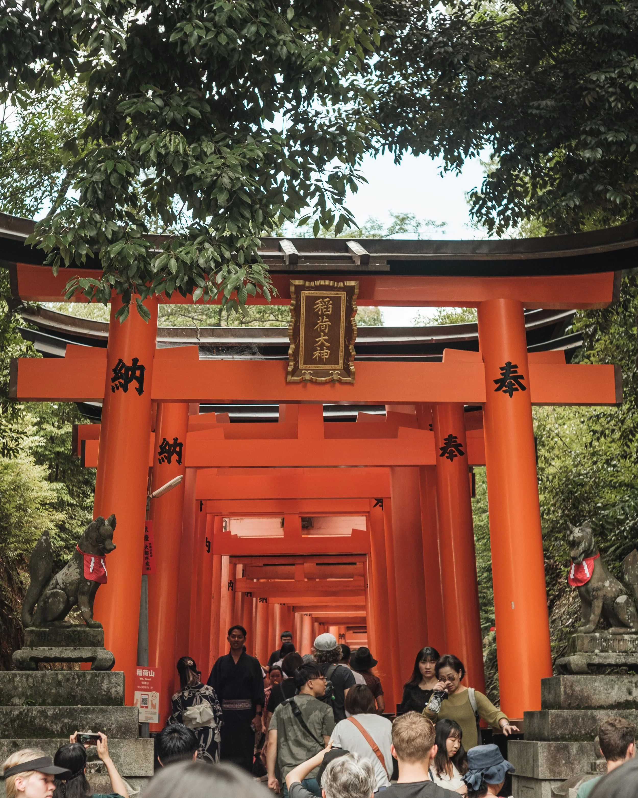 A line of orange torii gates at a Japanese shrine with people walking through and statues of dogs on either side.