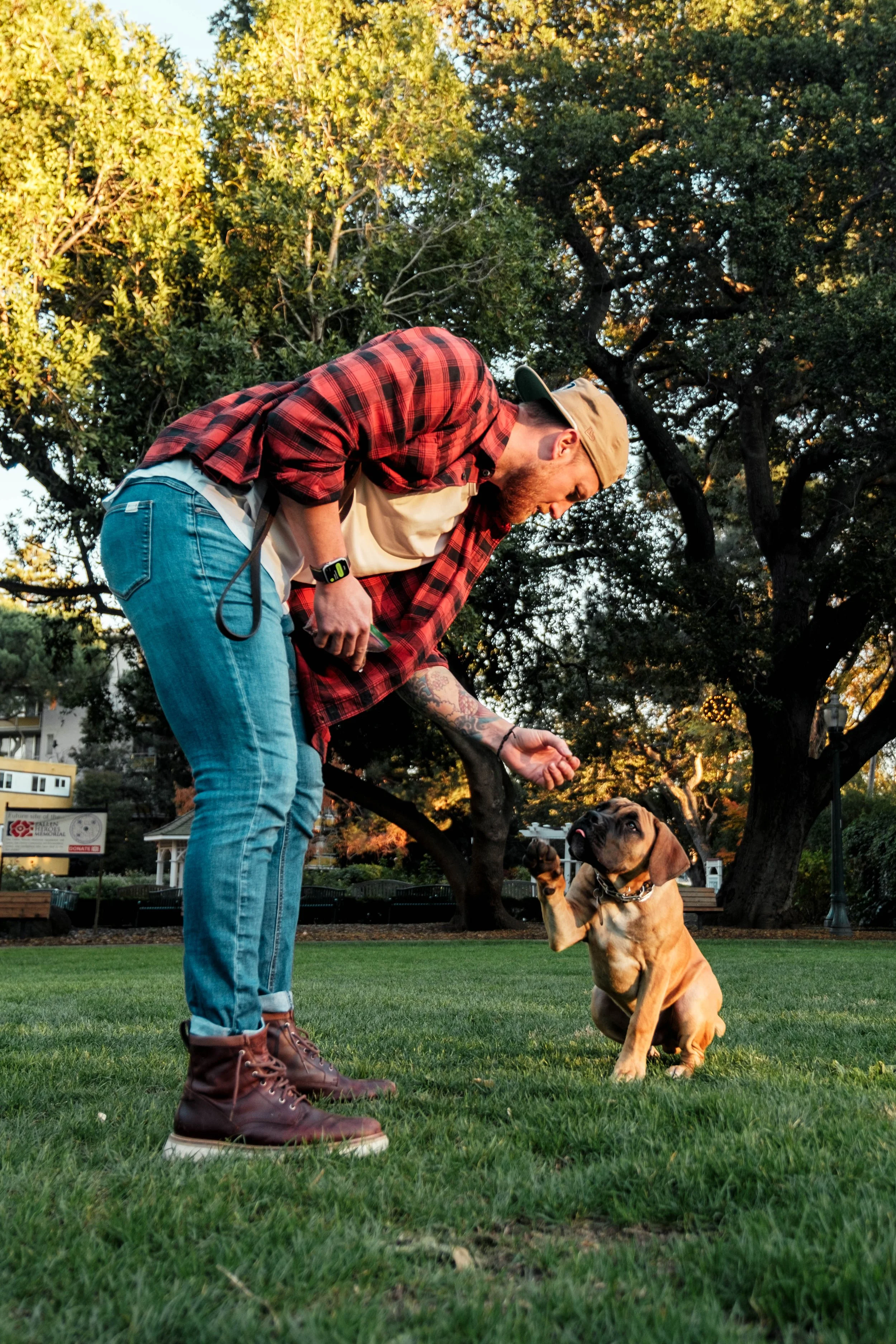 A man in casual clothing, including a red plaid shirt, blue jeans, brown boots, and a beige cap, interacting playfully with a puppy in a park with trees and grass.