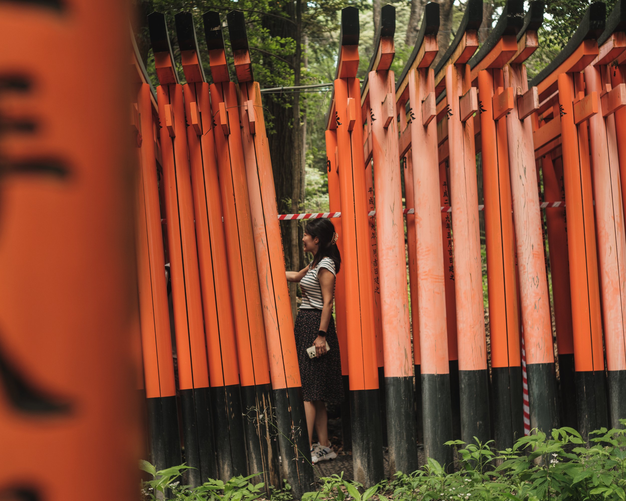 A woman in a striped shirt and patterned skirt walking among red torii gates in a wooded area.