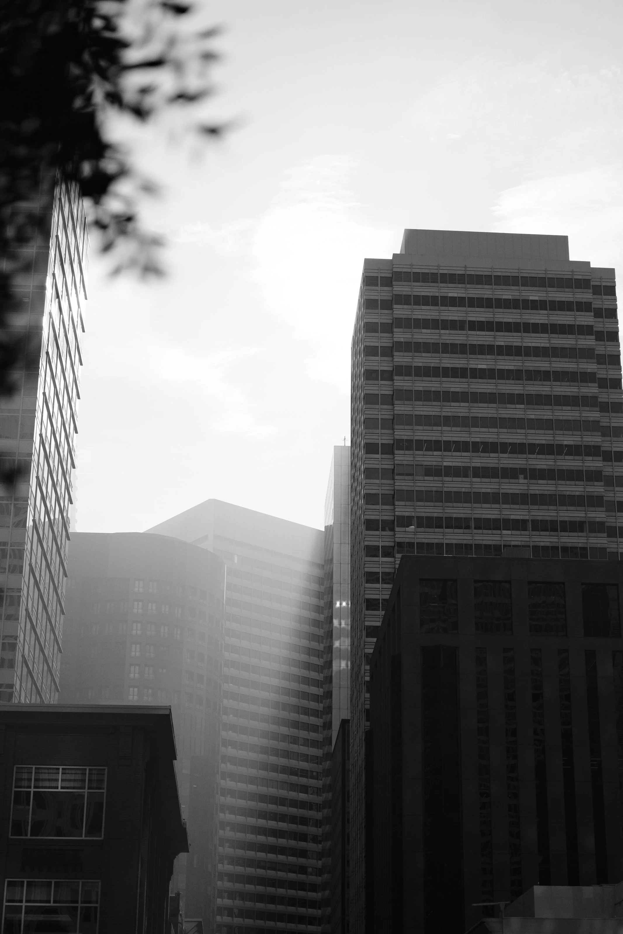 Black and white photo of tall skyscrapers in an urban area with the sun shining brightly in the sky.