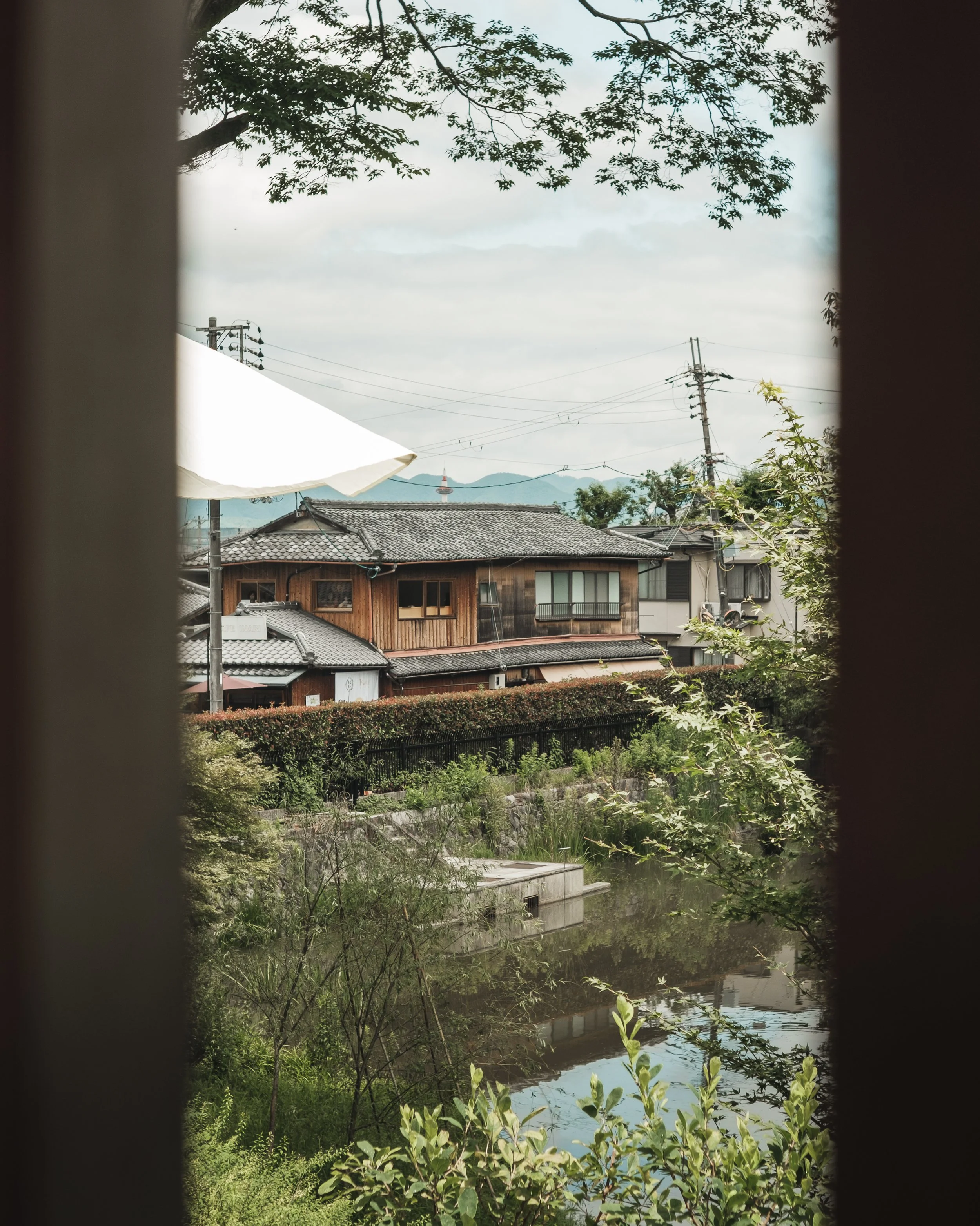 View of traditional Japanese houses with wooden exteriors and tiled roofs across a small river, framed by a window with tree branches overhead and greenery along the riverbank.
