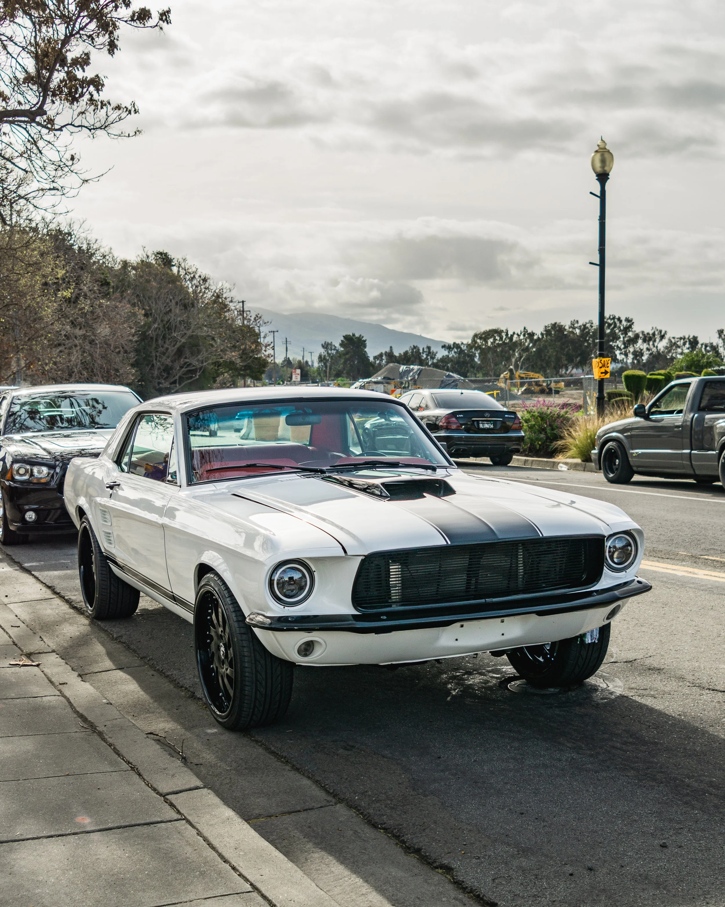 A classic white muscle car with black racing stripes parked on a street sidewalk, with other cars and trees in the background.
