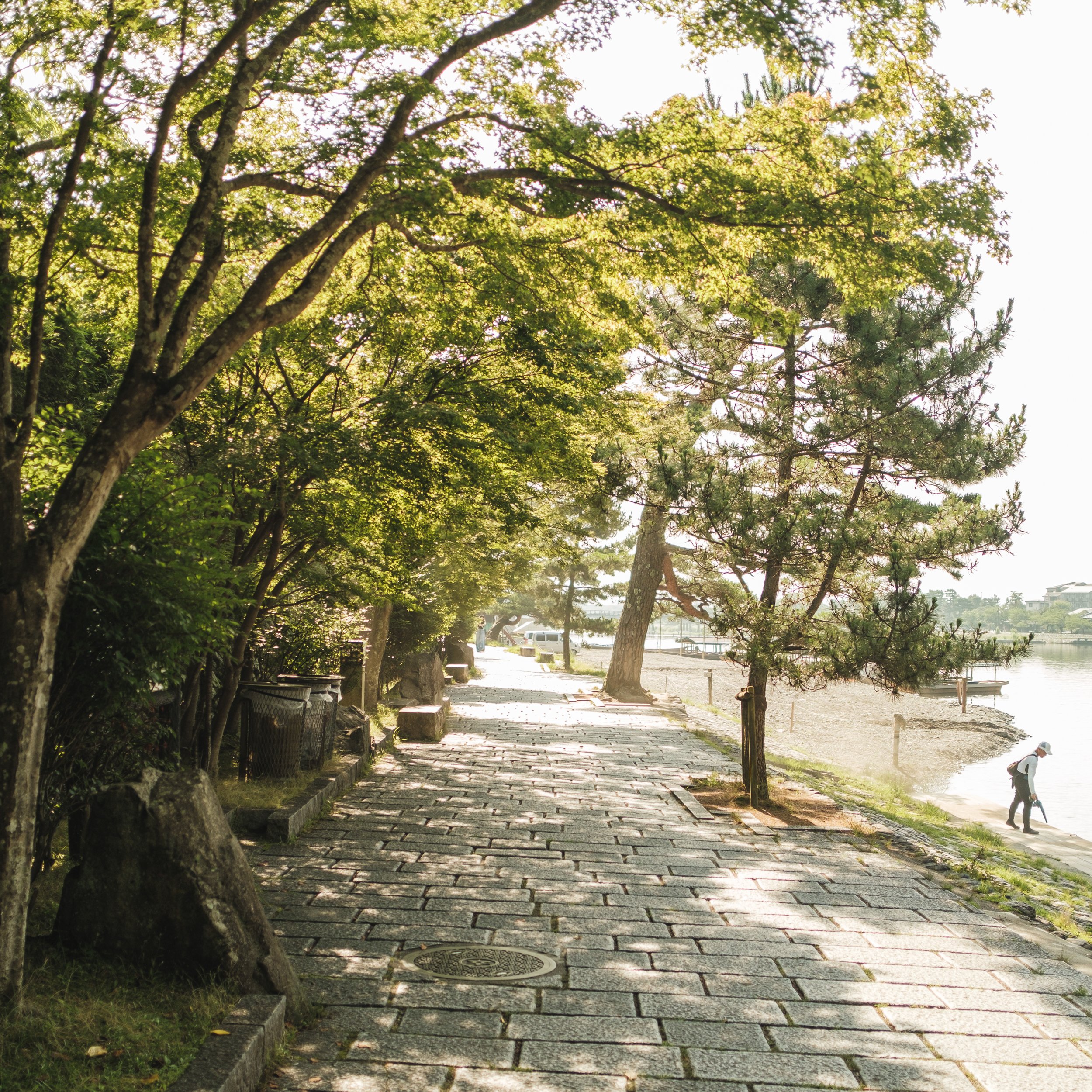 A paved pathway along a waterfront with trees on both sides and a person walking near the shoreline.