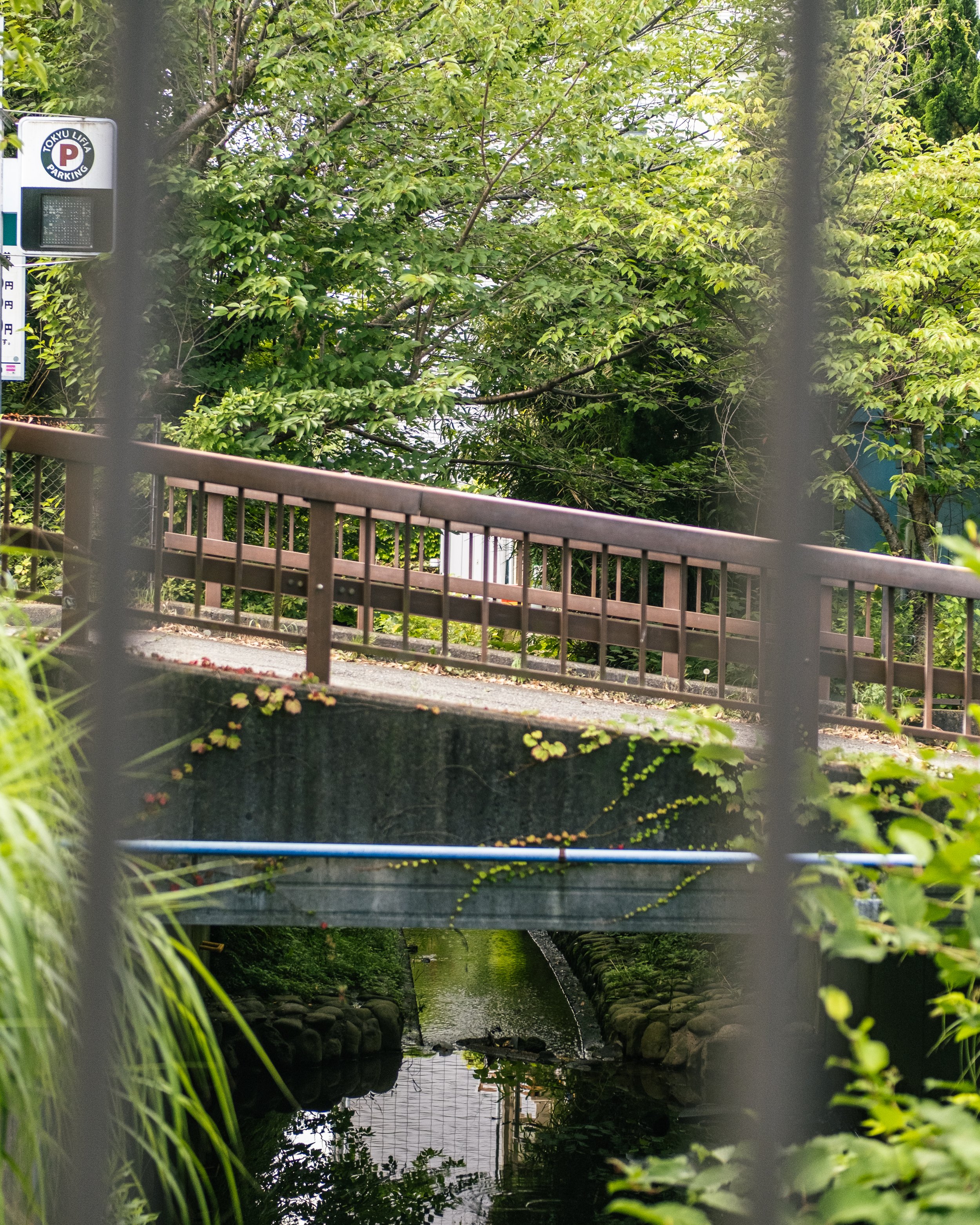 A small urban creek with a concrete embankment and a bridge, surrounded by lush green trees and plants, with a parking sign visible in the background.