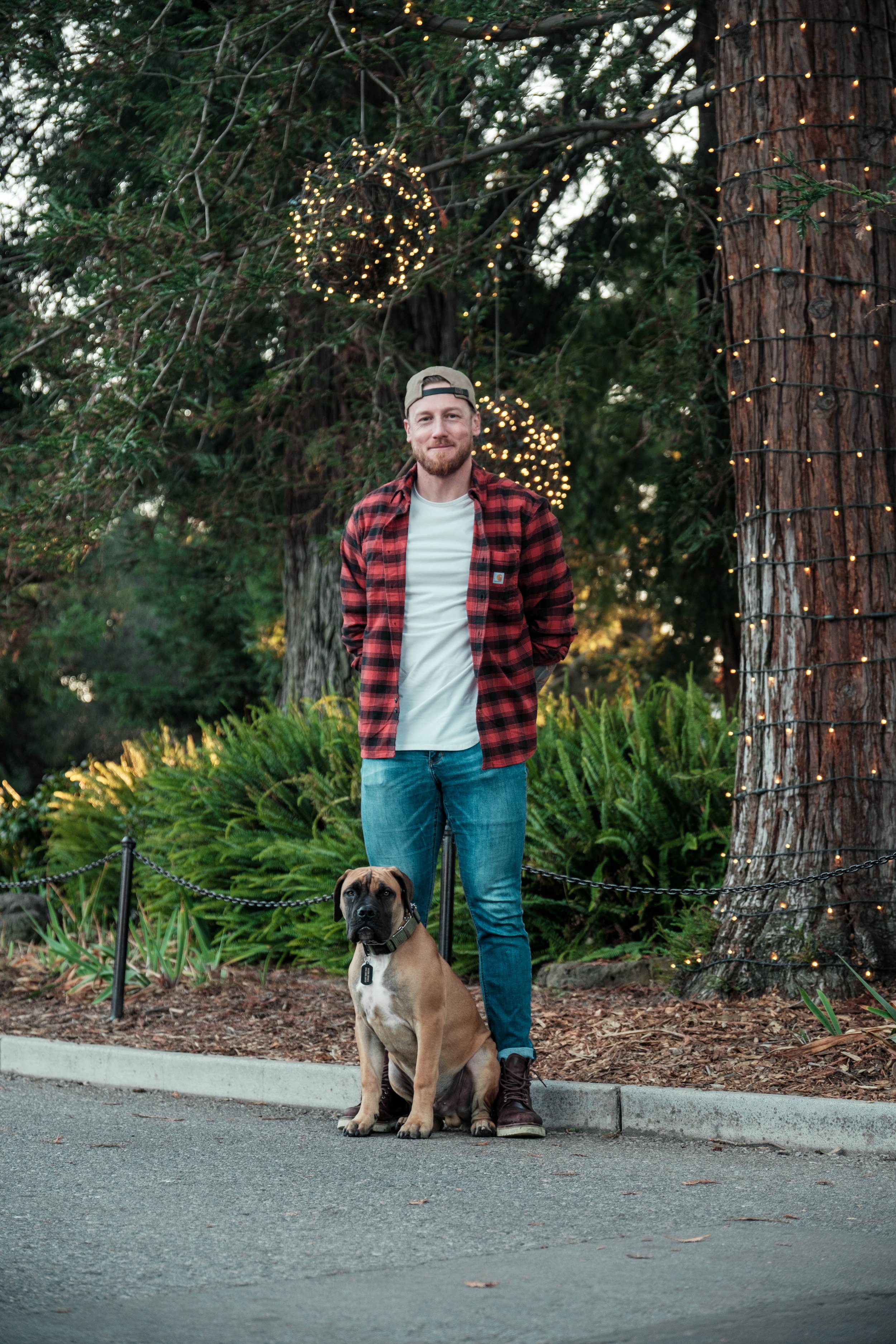A man standing outdoors with a dog in front of large trees decorated with string lights and illuminated orbs, during dusk or evening.