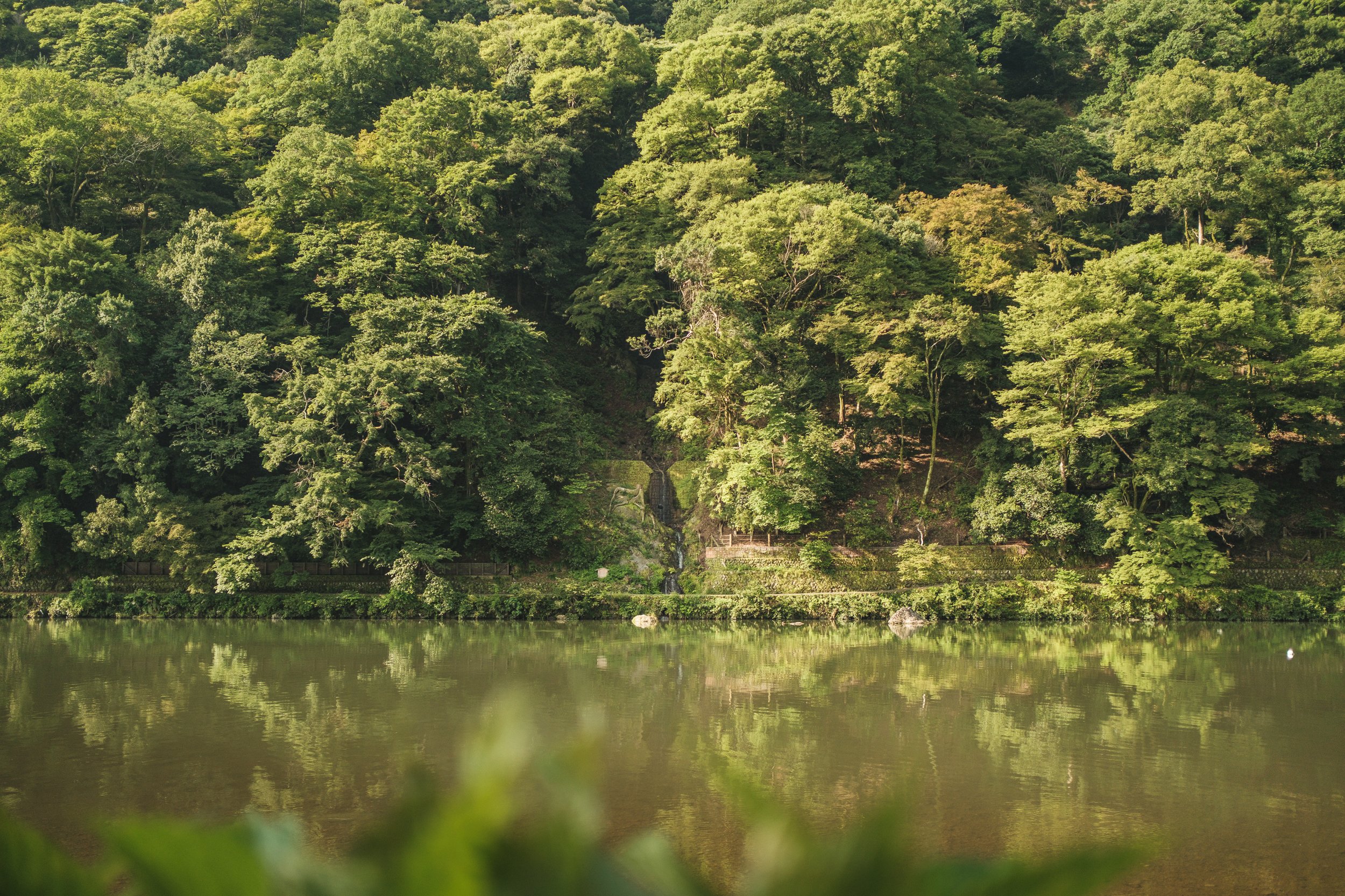 Green trees on a hillside reflected in a calm body of water.