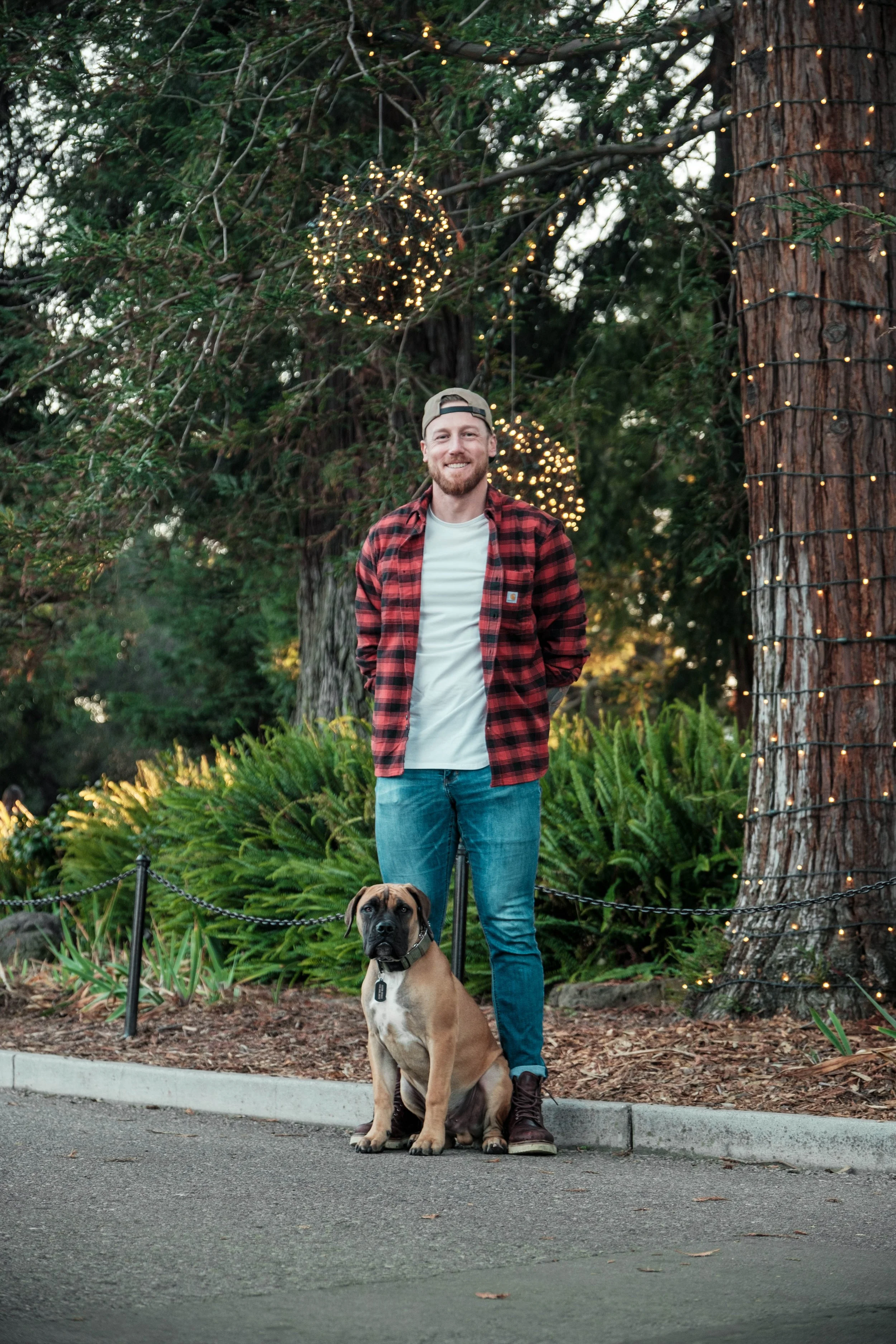 A man standing outdoors next to a large dog, with trees and decorative lights in the background.