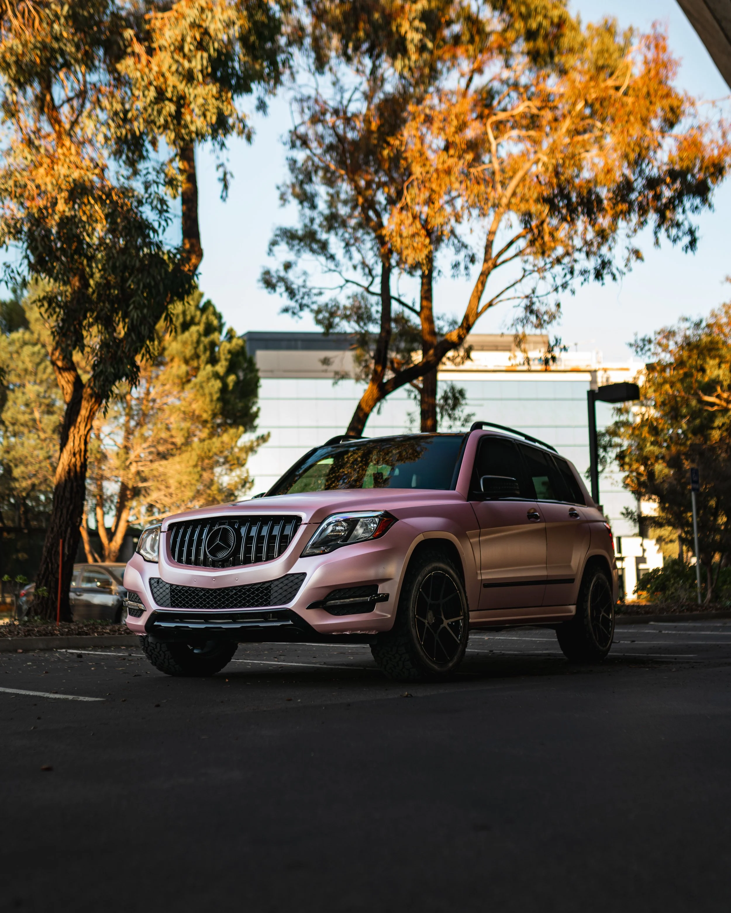 A pink Mercedes-Benz SUV parked in an outdoor lot with trees and a modern office building in the background during sunset.